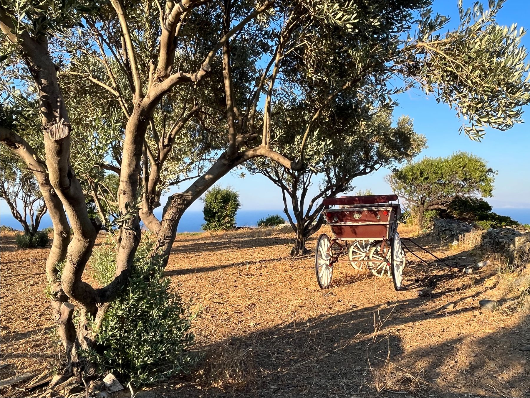 Gardens at Villa Eleonas, Sifnos
