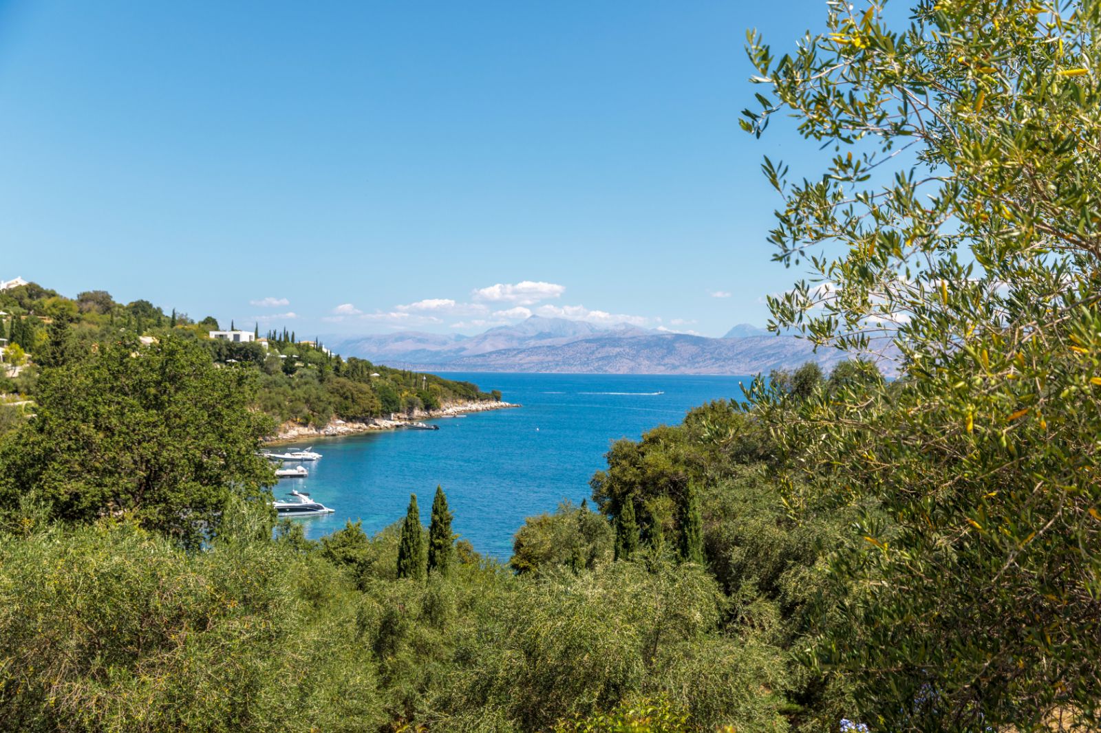 bay view of sea and coastline