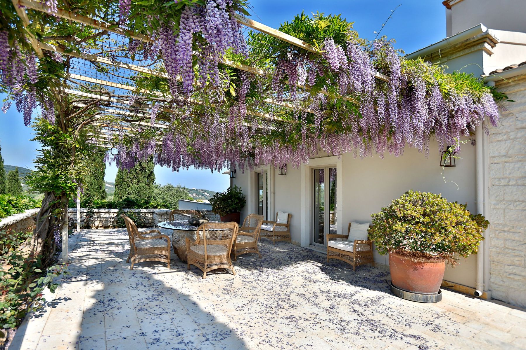 Outdoor dining terrace covered with wisteria at Villa Jasmine, Corfu