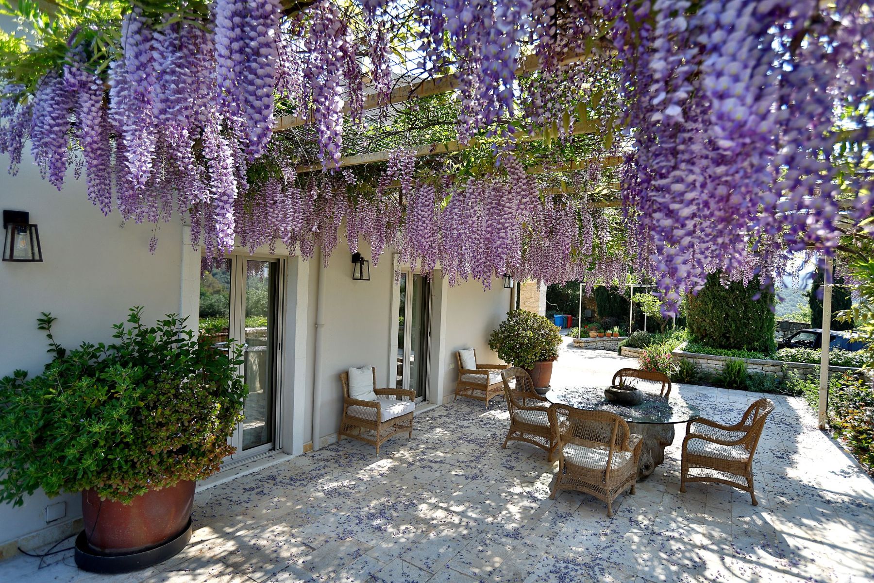 Outdoor dining terrace covered with wisteria at Villa Jasmine, Corfu
