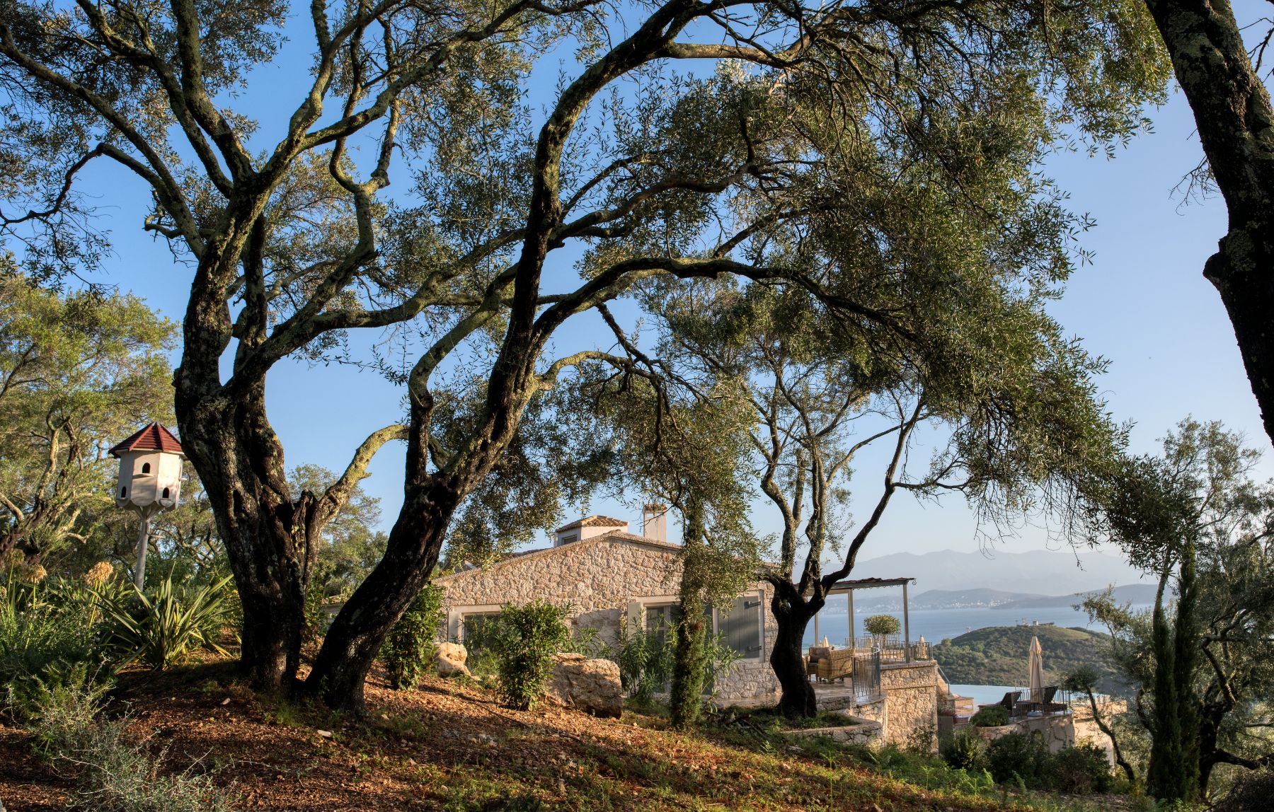 Grounds at Villa Thea, Corfu