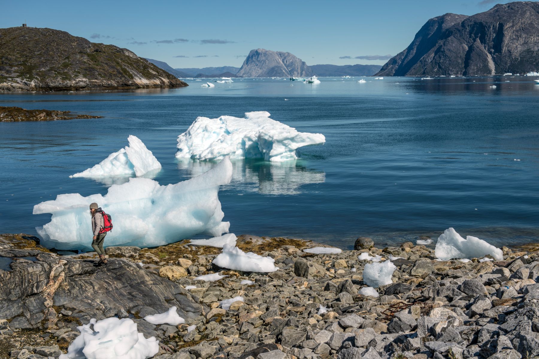 Lady walking along shore dotted with icebergs near Camp Kiattua Greenland