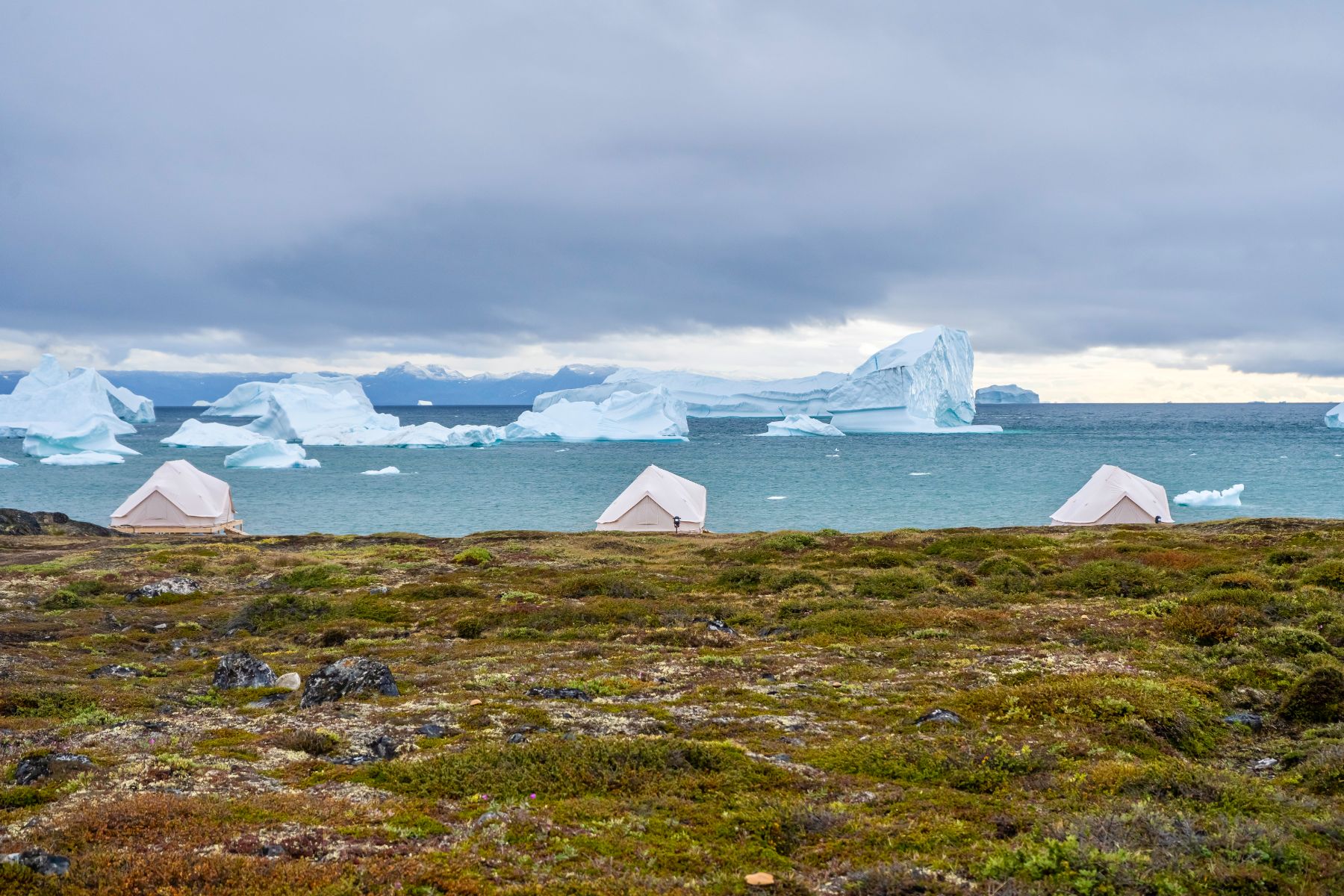Camp Saqqaq luxury tents looking out to icebergs in Disko Bay Greenland