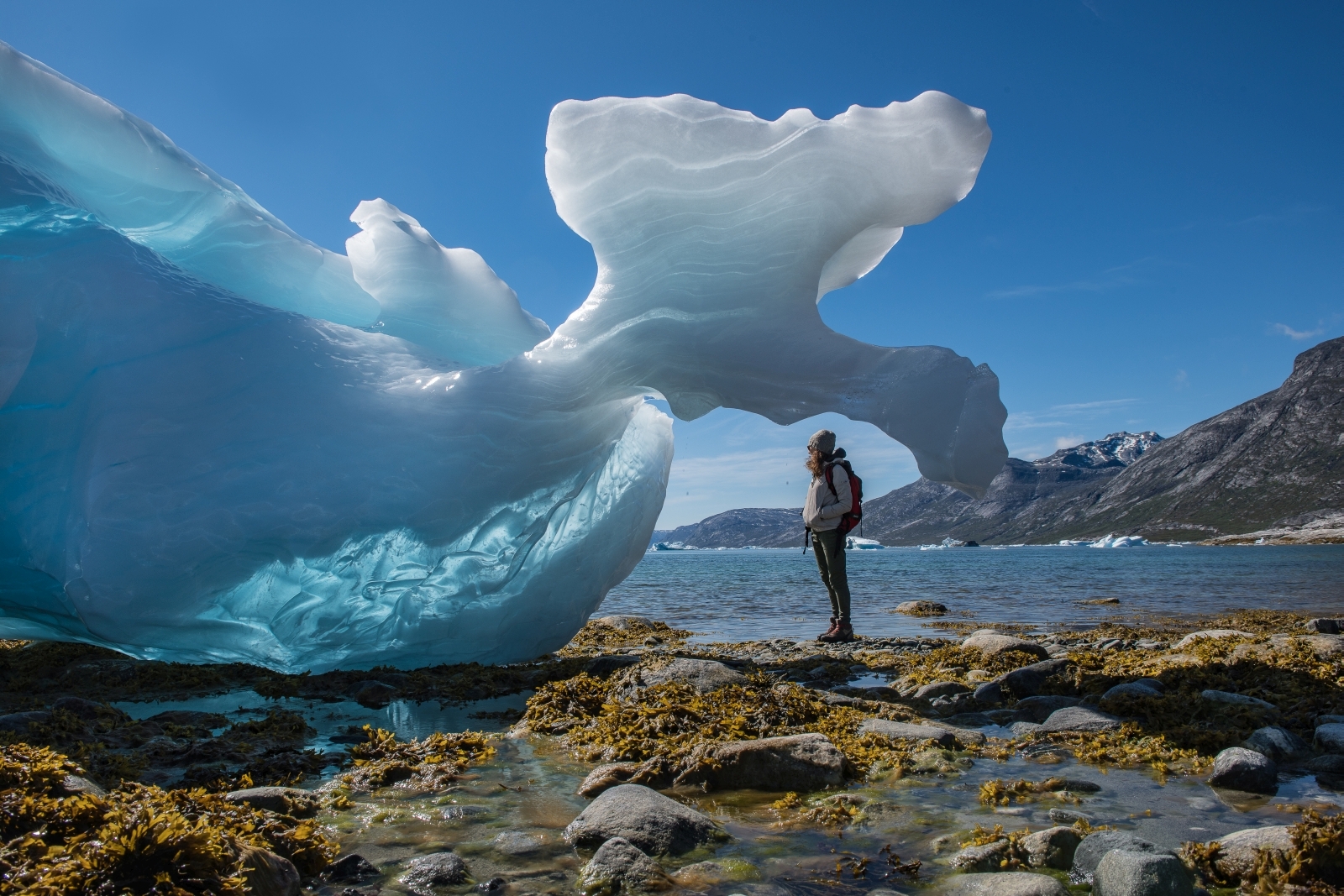 Icebergs on the beach near Camp Kiattua in Greenland