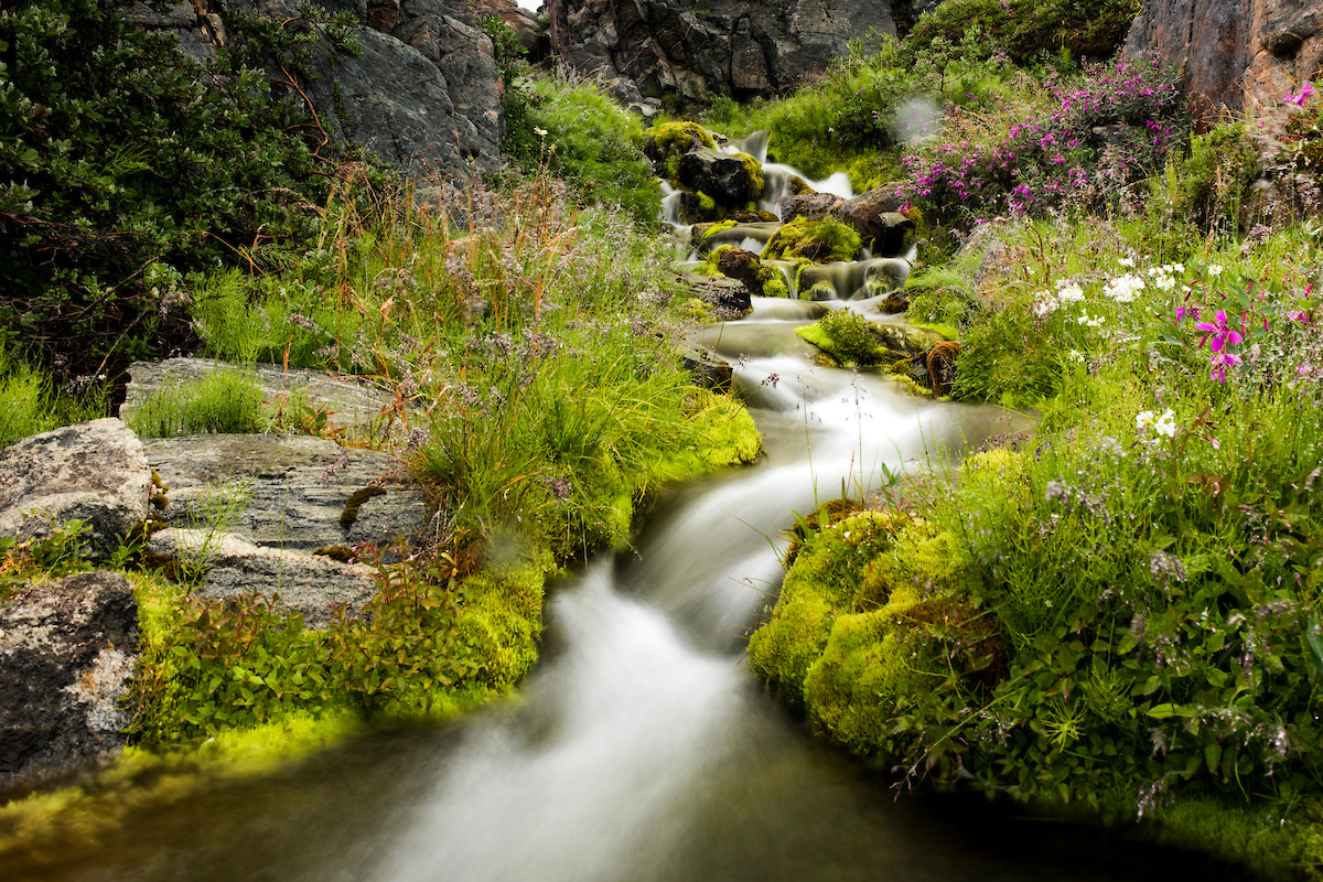Aningaaq Carlsen stream in Greenland