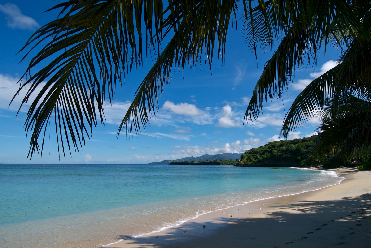 Palm beach of Laluna, Grenada