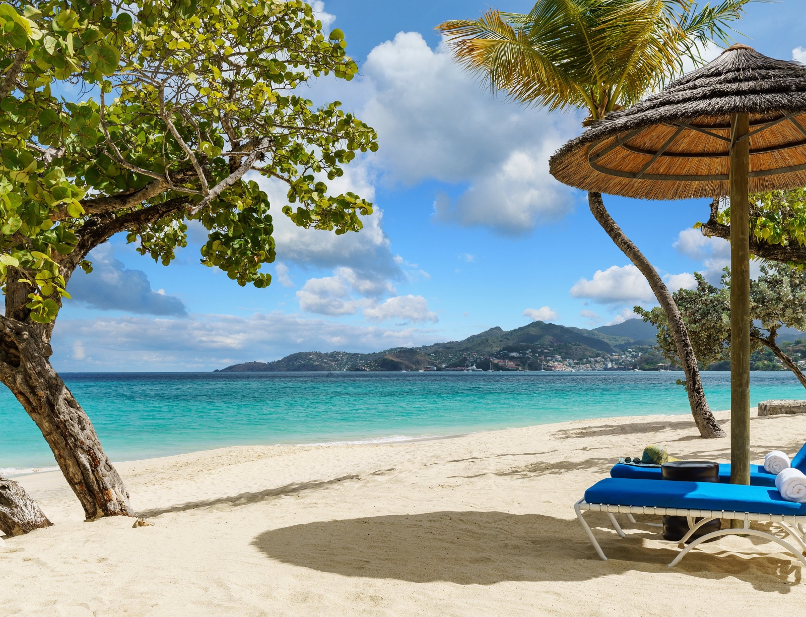 Beachand loungers