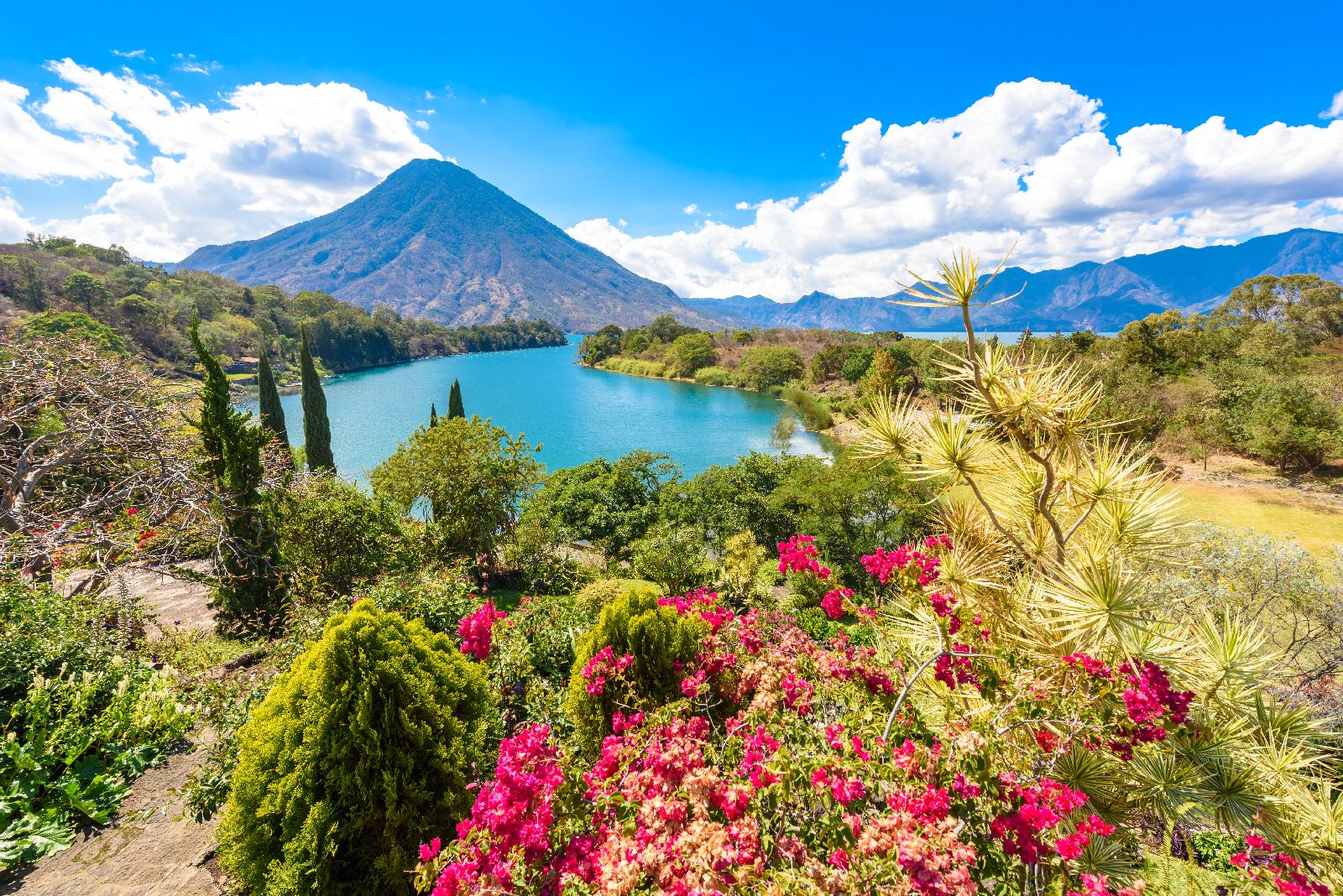 Colourful flora surrounding Lake Atitlan in Guatemala