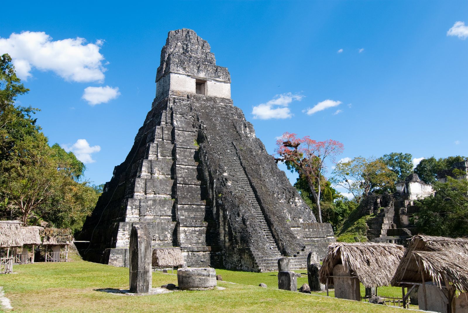 Temple V in Tikal Guatemala