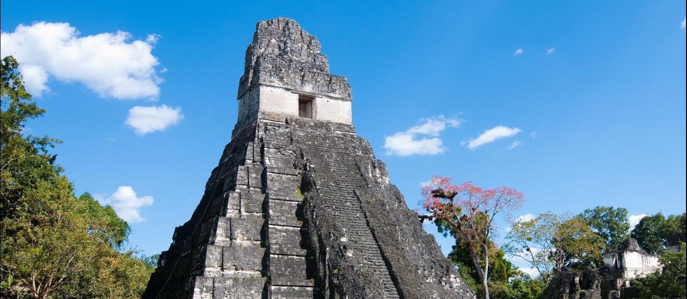 Temple V in Tikal Guatemala