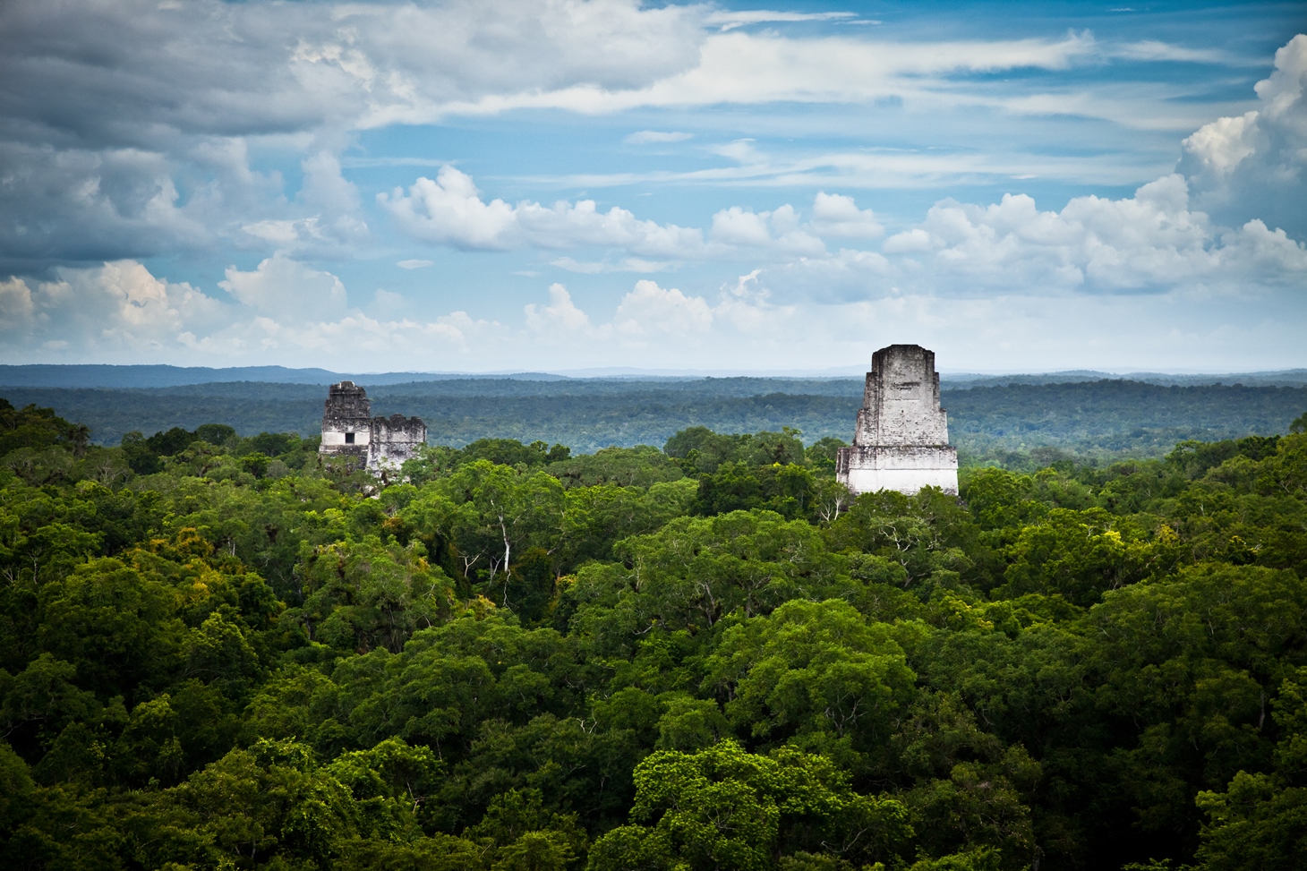 Tikal forest skyline, Guatemala