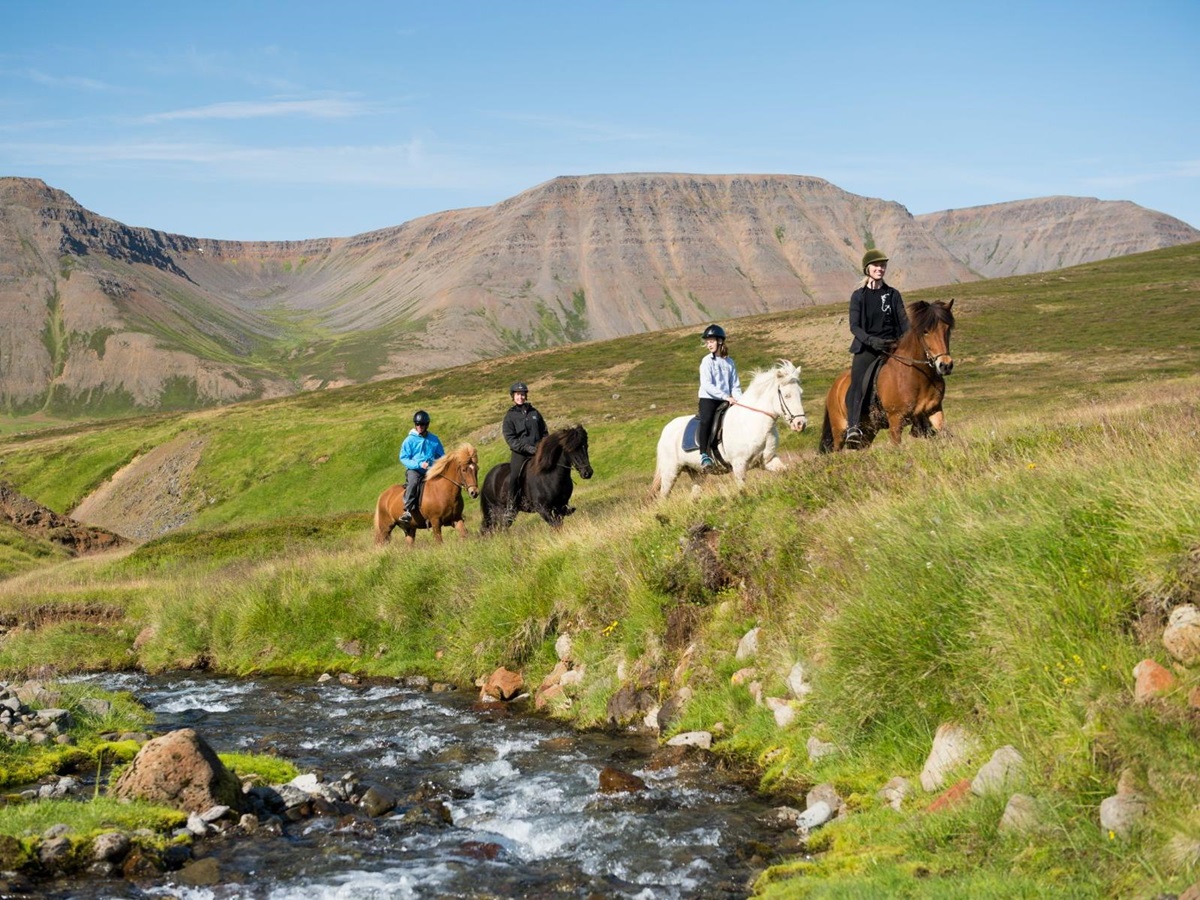 Riding on the grounds of Deplar Farm in Iceland