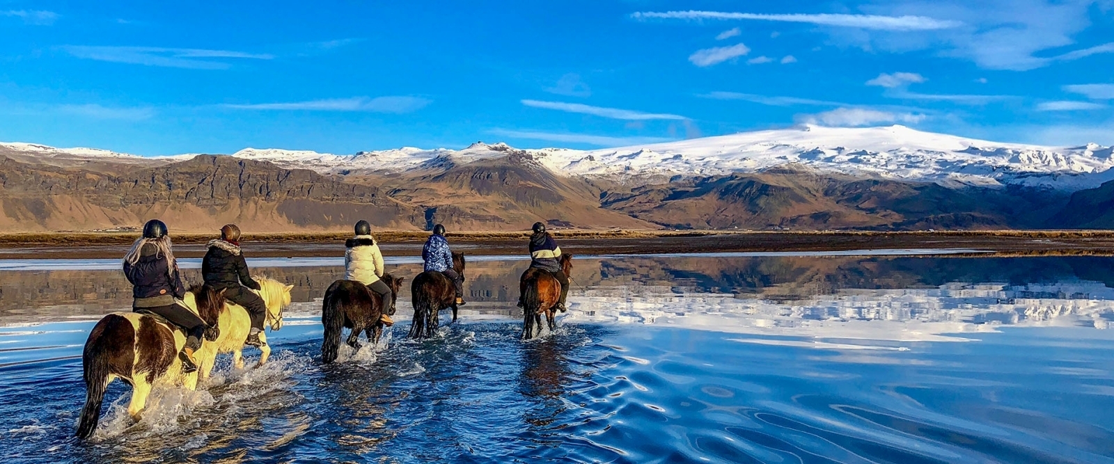 Horses at Skalakot wading across lake