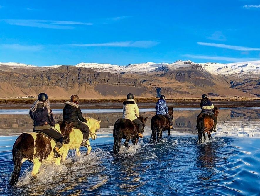 Horses at Skalakot wading across lake