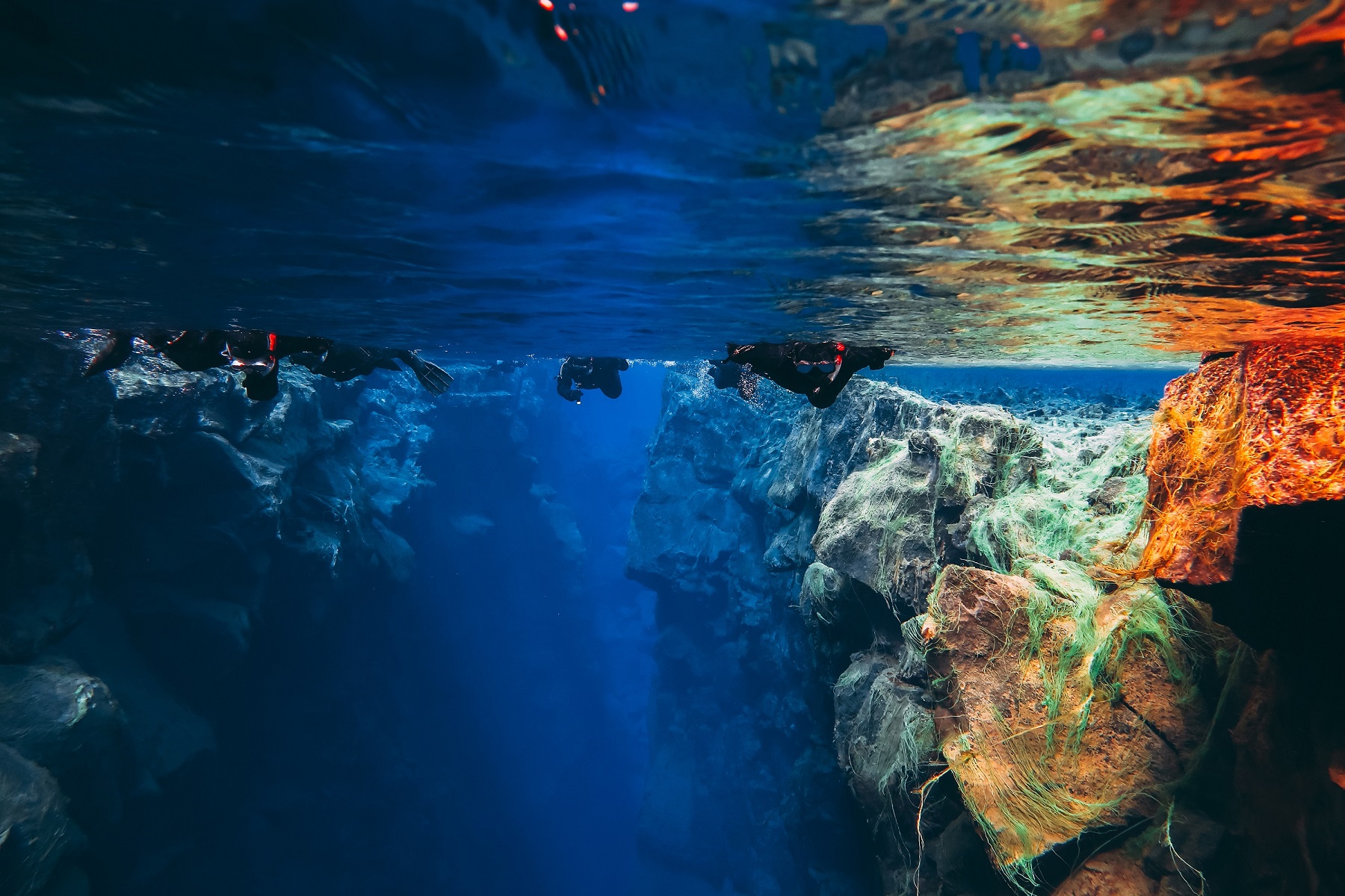 Snorkelling in glacier waters, Thingvellirshut National Park, Iceland