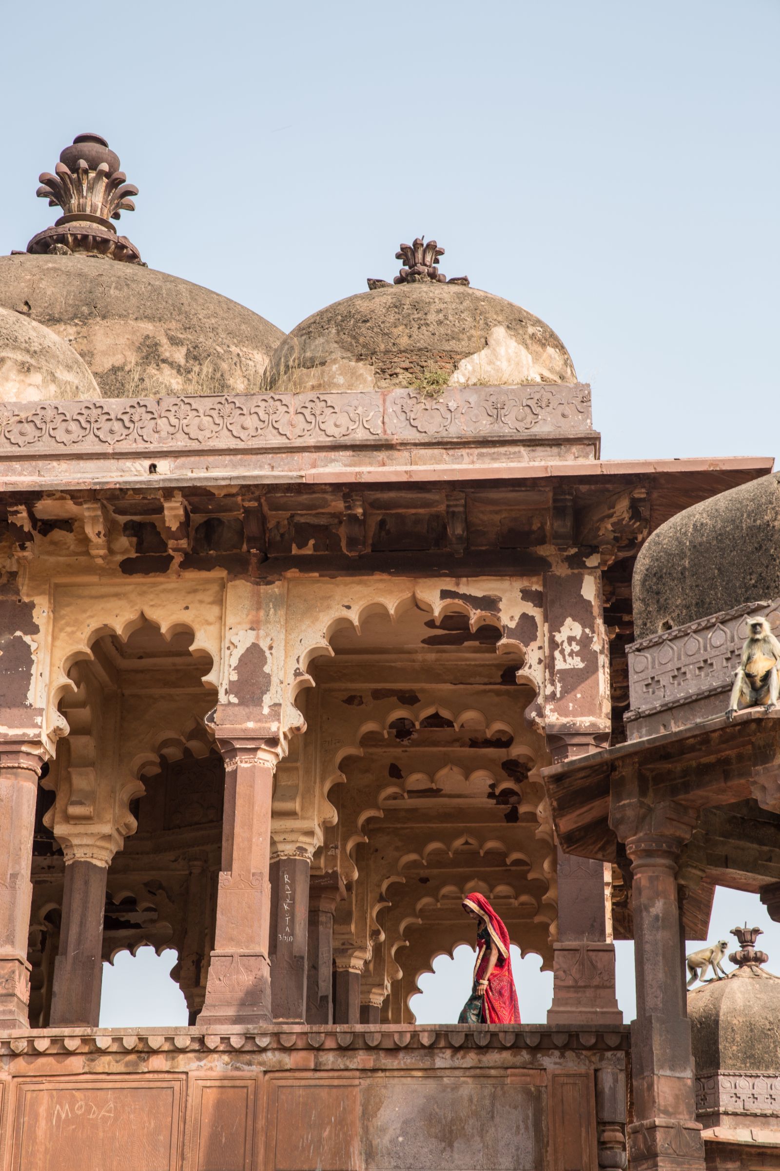 Fort in Ranthambore National Park near Aman-I-Khas in India