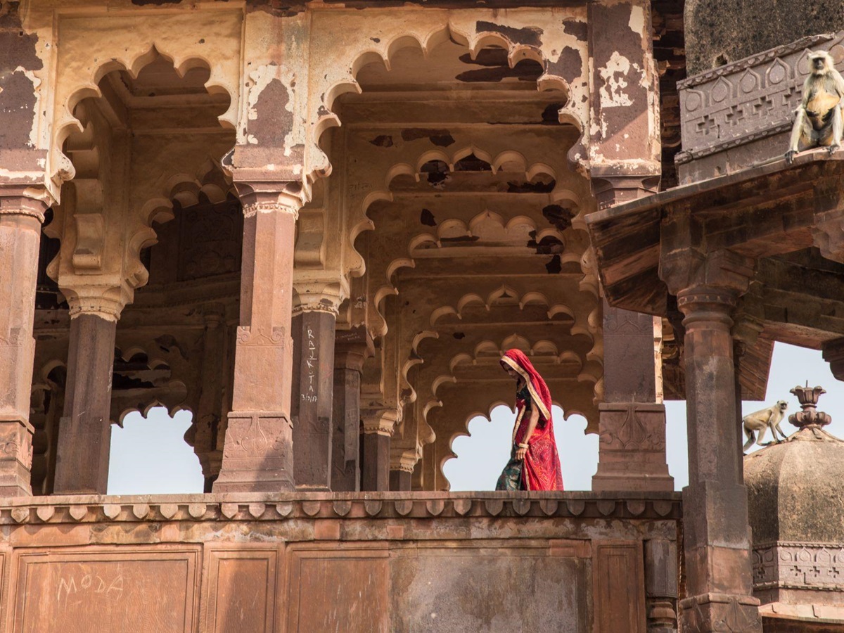 Fort in Ranthambore National Park near Aman-I-Khas in India