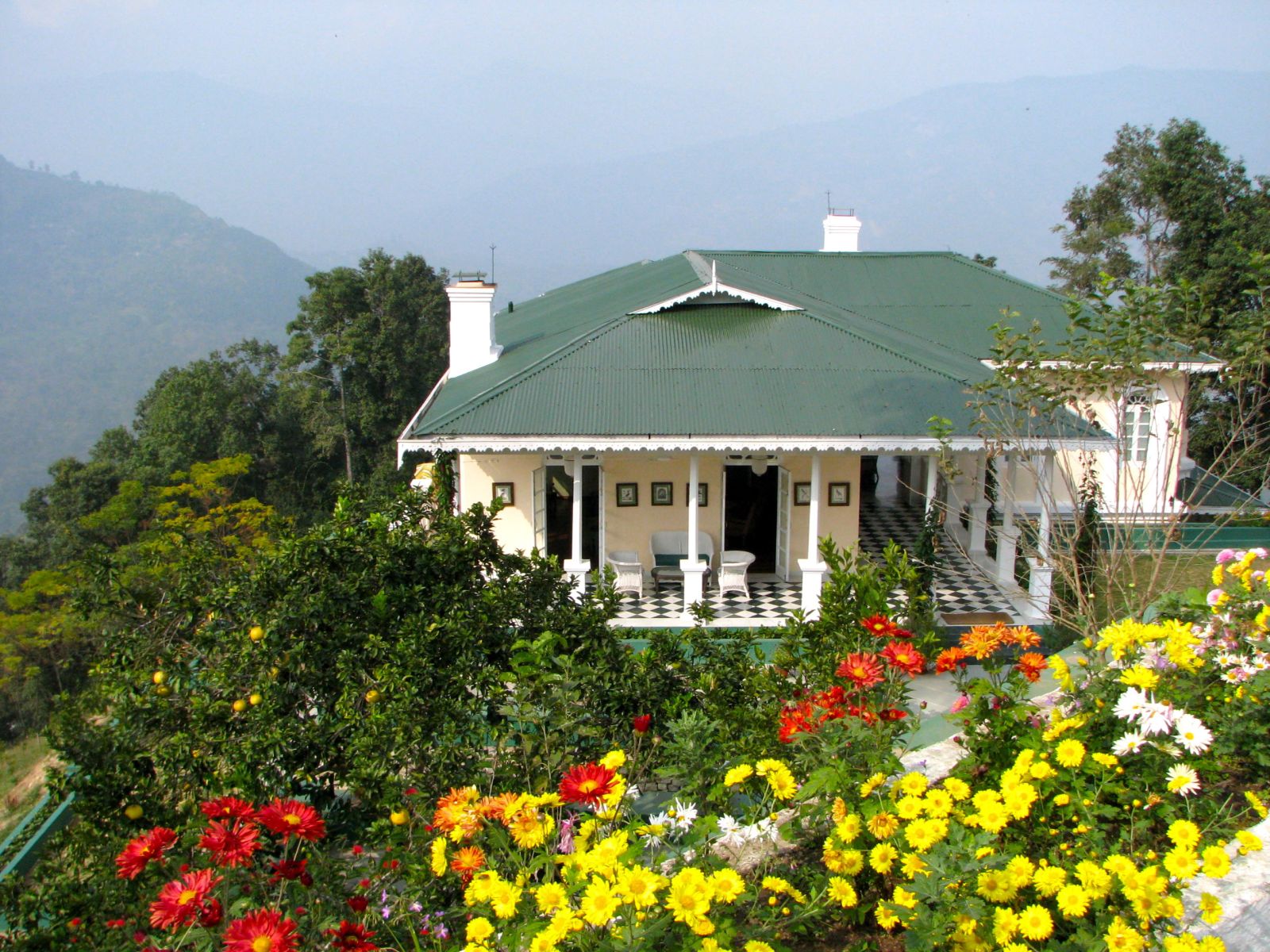 Gardens of the Glenburn Tea Estate in Darjeeling India