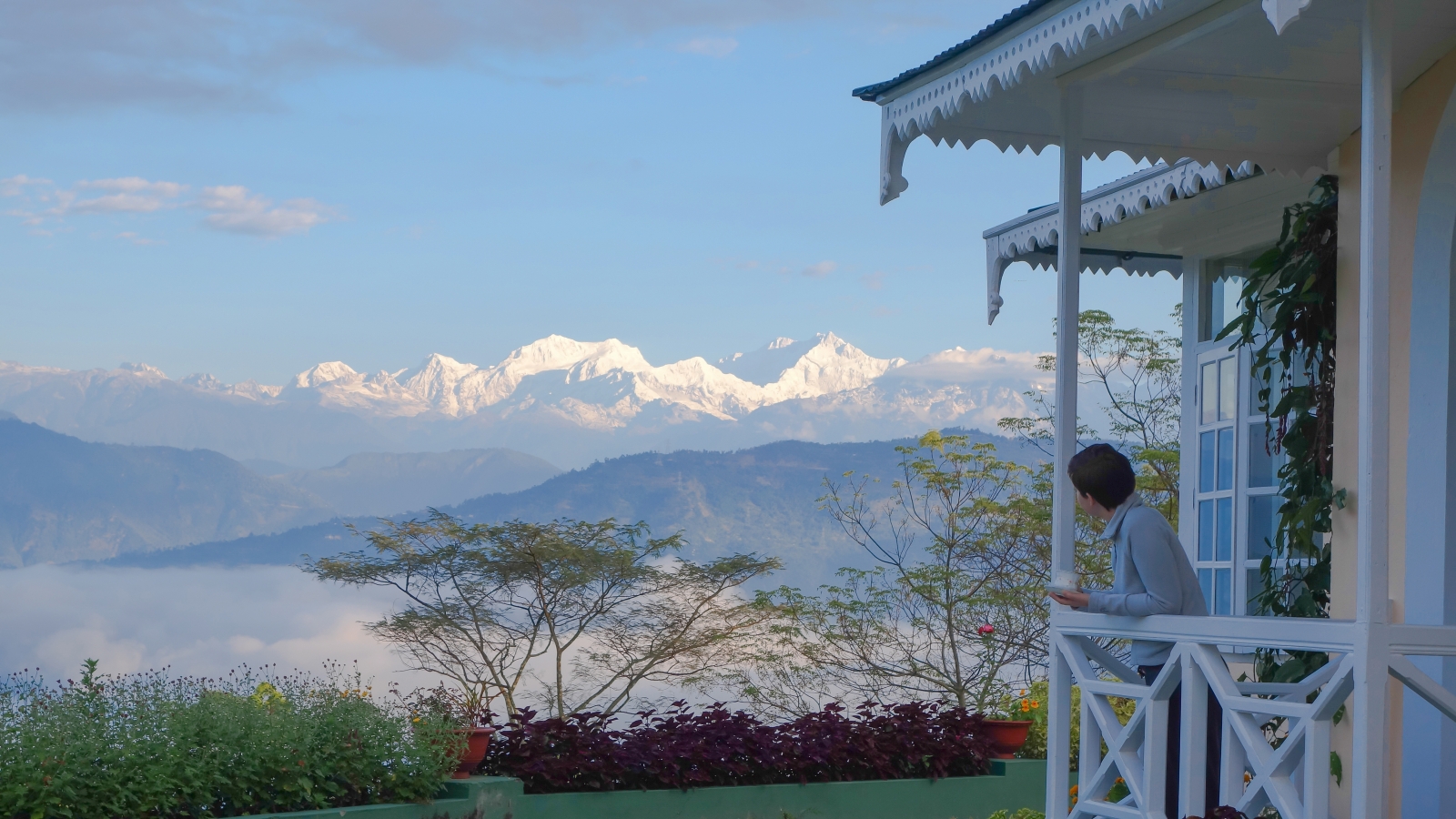 Mountain views from the Glenburn Tea Estate in Darjeeling India