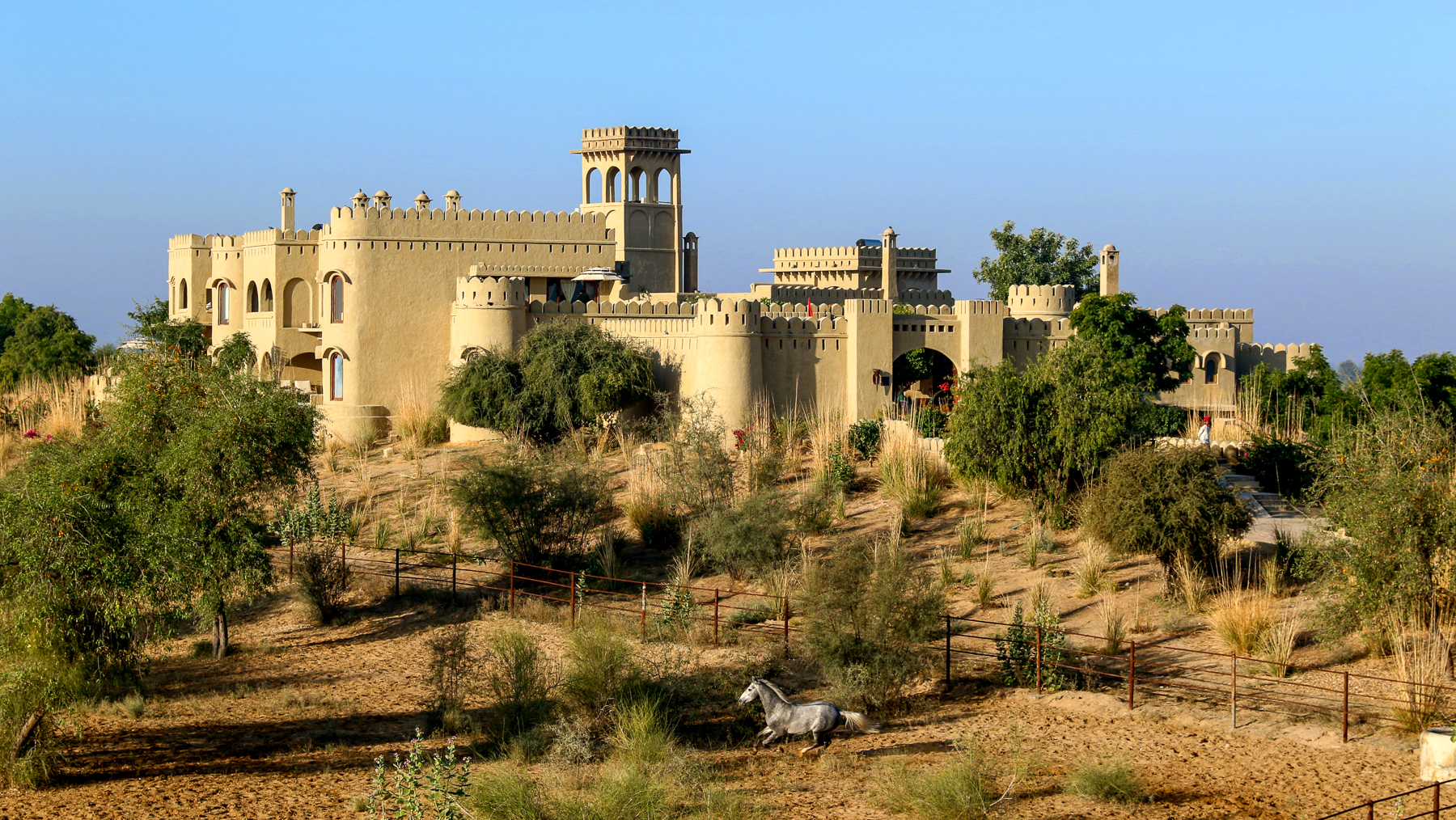 A horse outside Mihir Garh in India