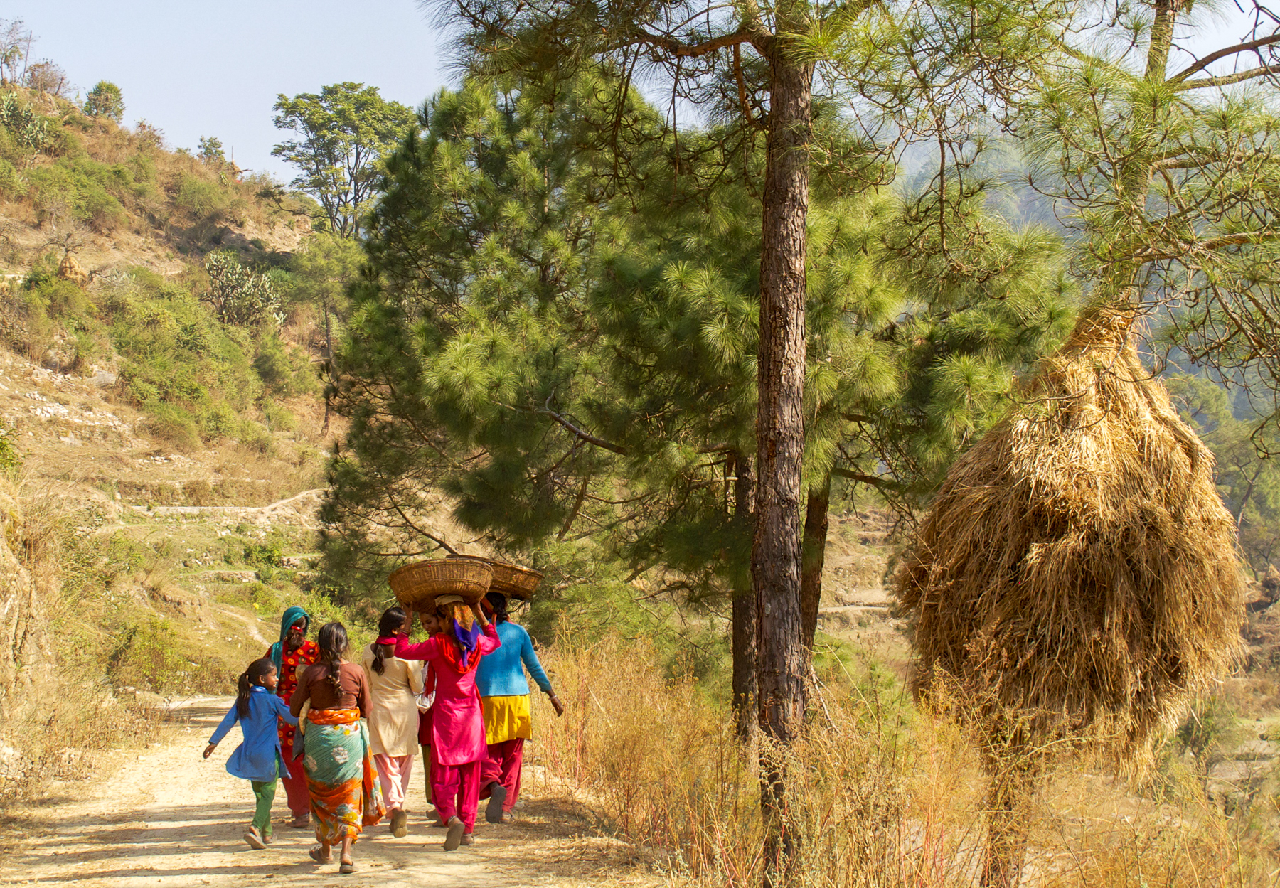 Local life at Shakti Kumaon in India