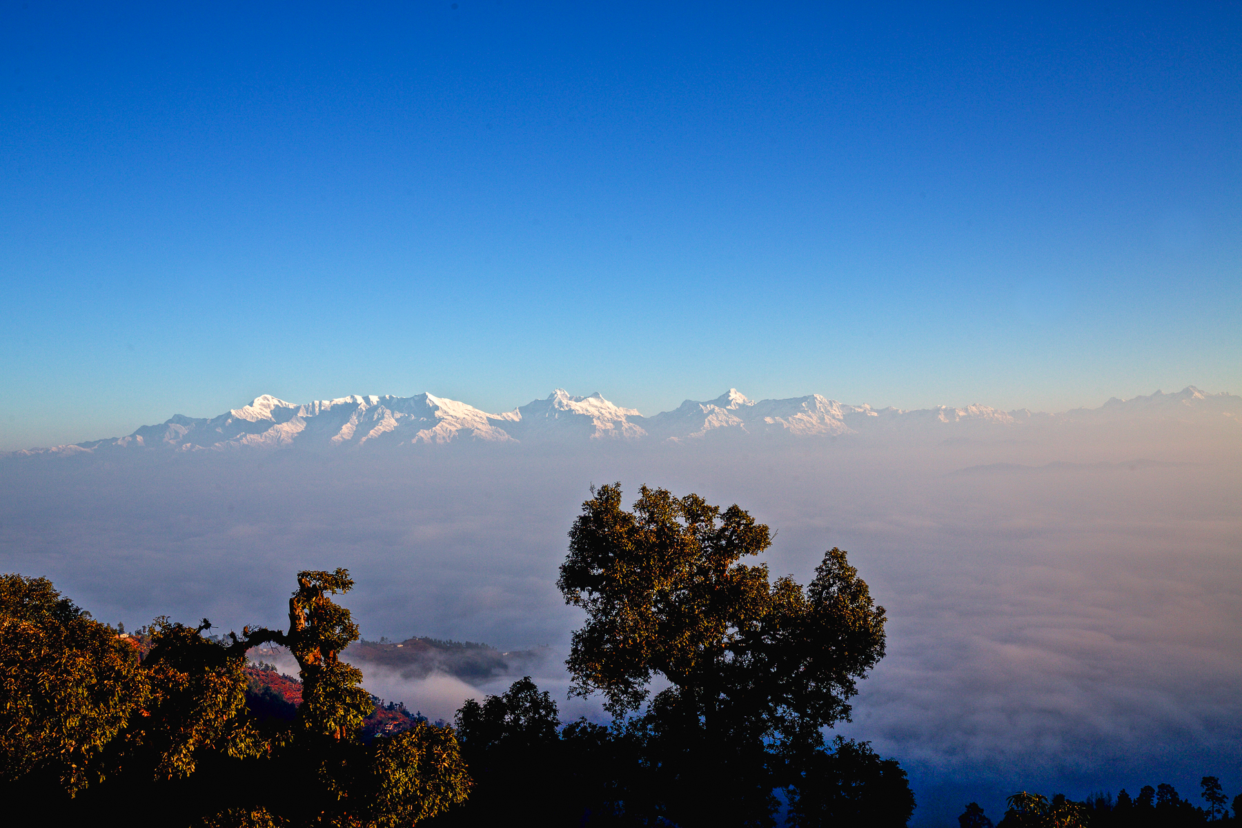Mountain views from Shakti Kumaon in India