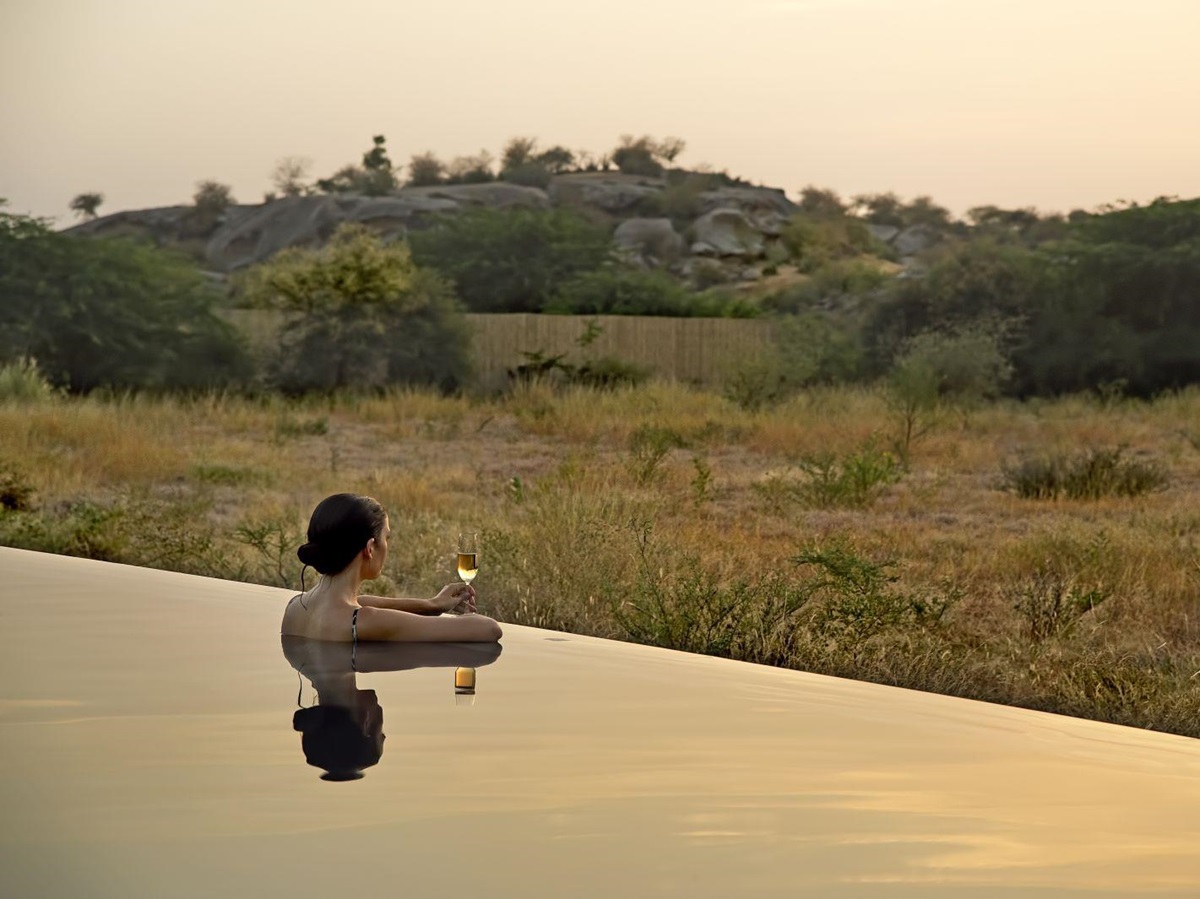Guest enjoying the pool at Sujan Jawai leopard camp in India