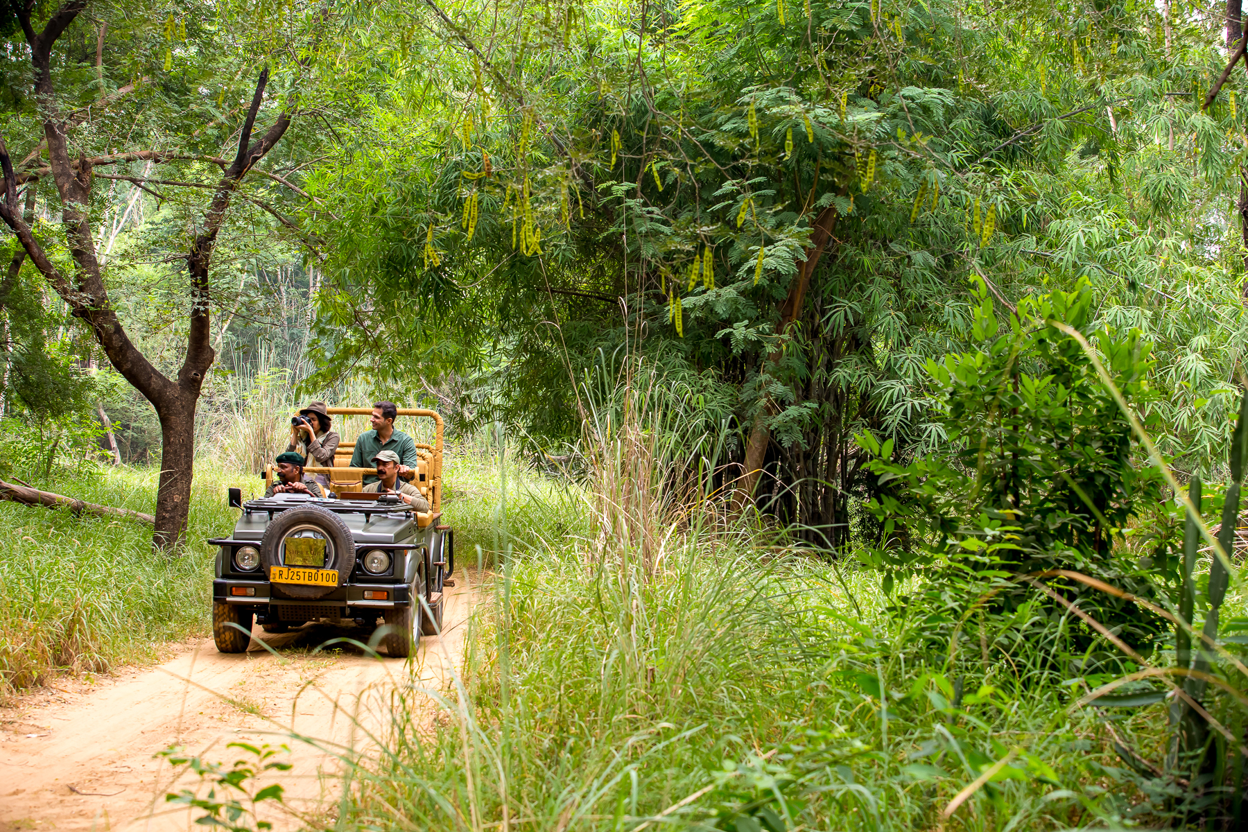 A game drive from Imperial Raj Bagh in India