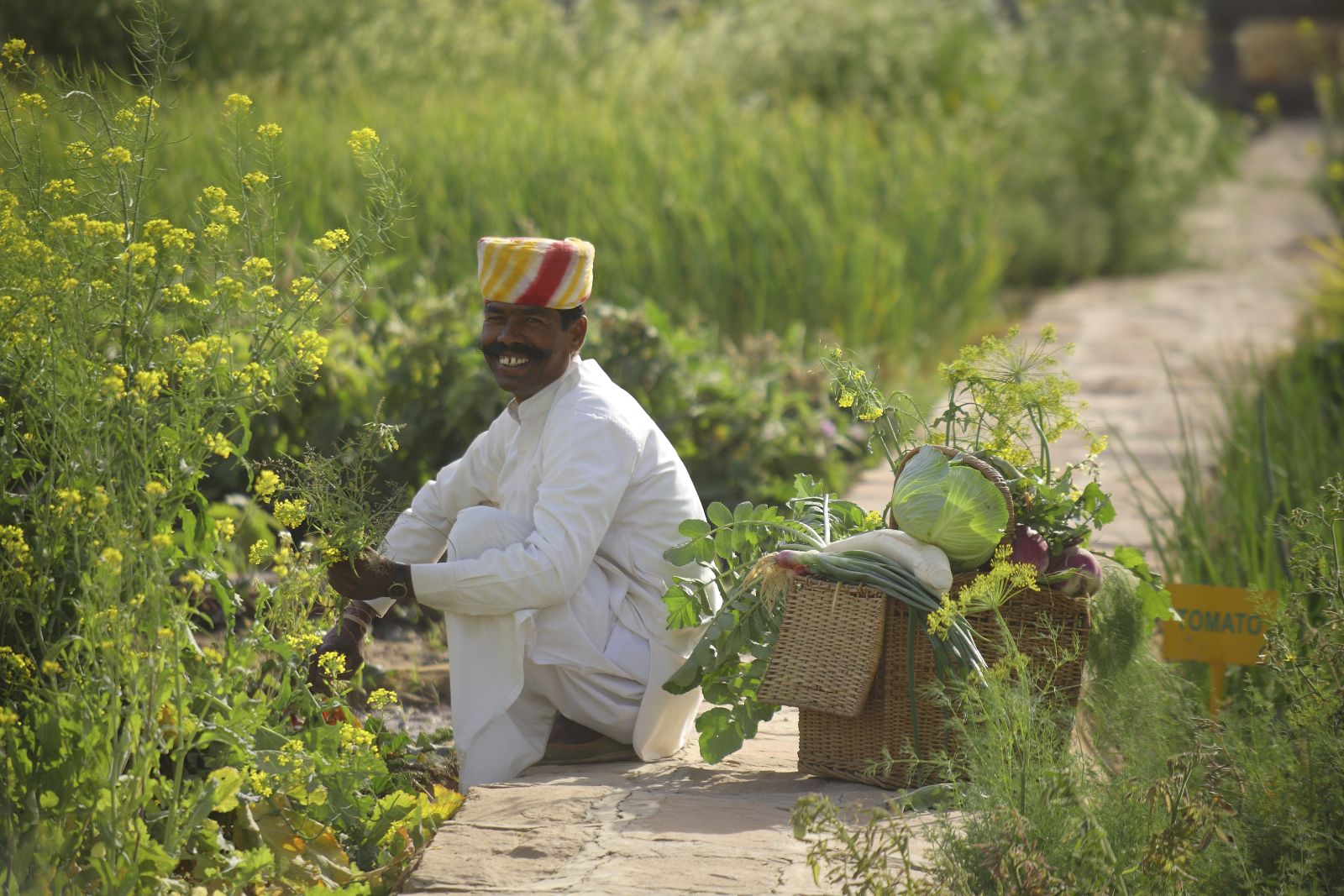 Organic gardens at Sujan The Serai India