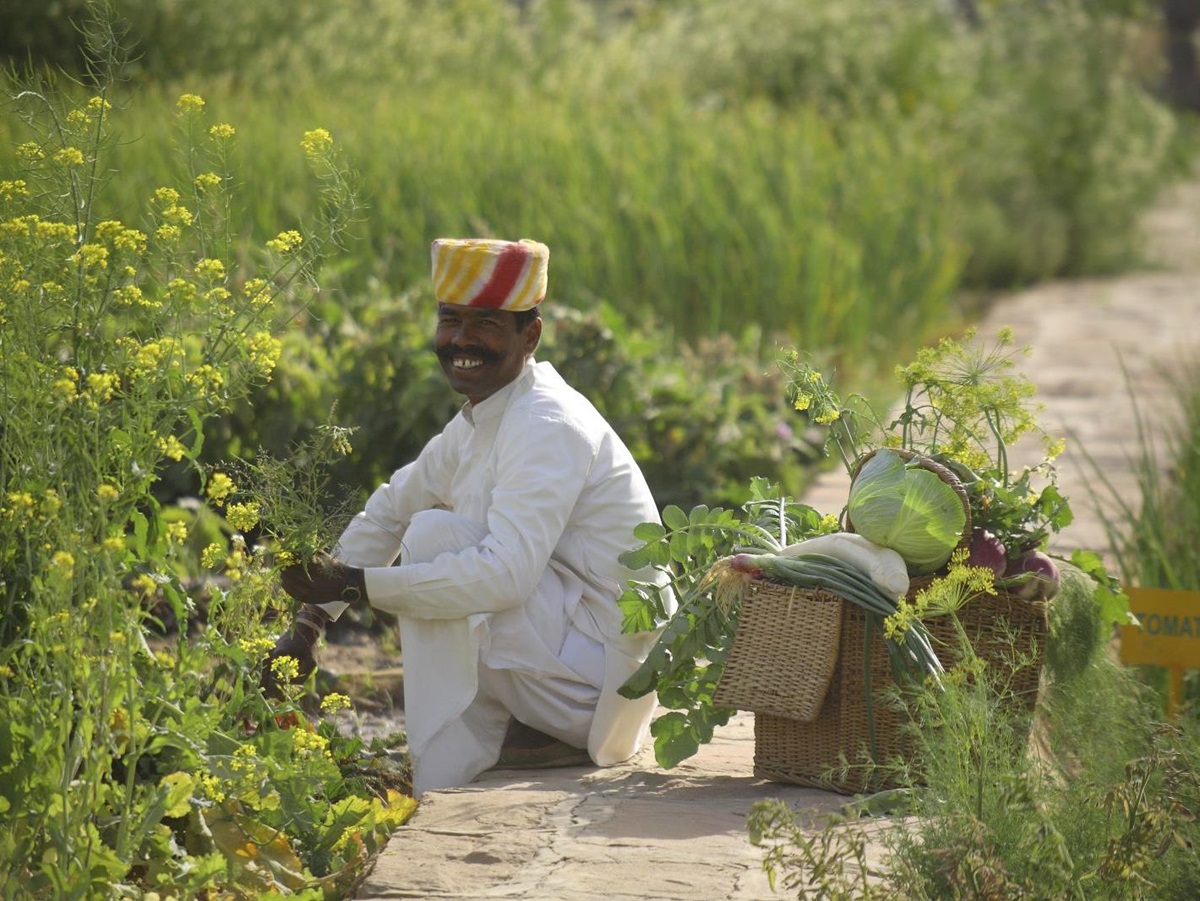 Organic gardens at Sujan The Serai India