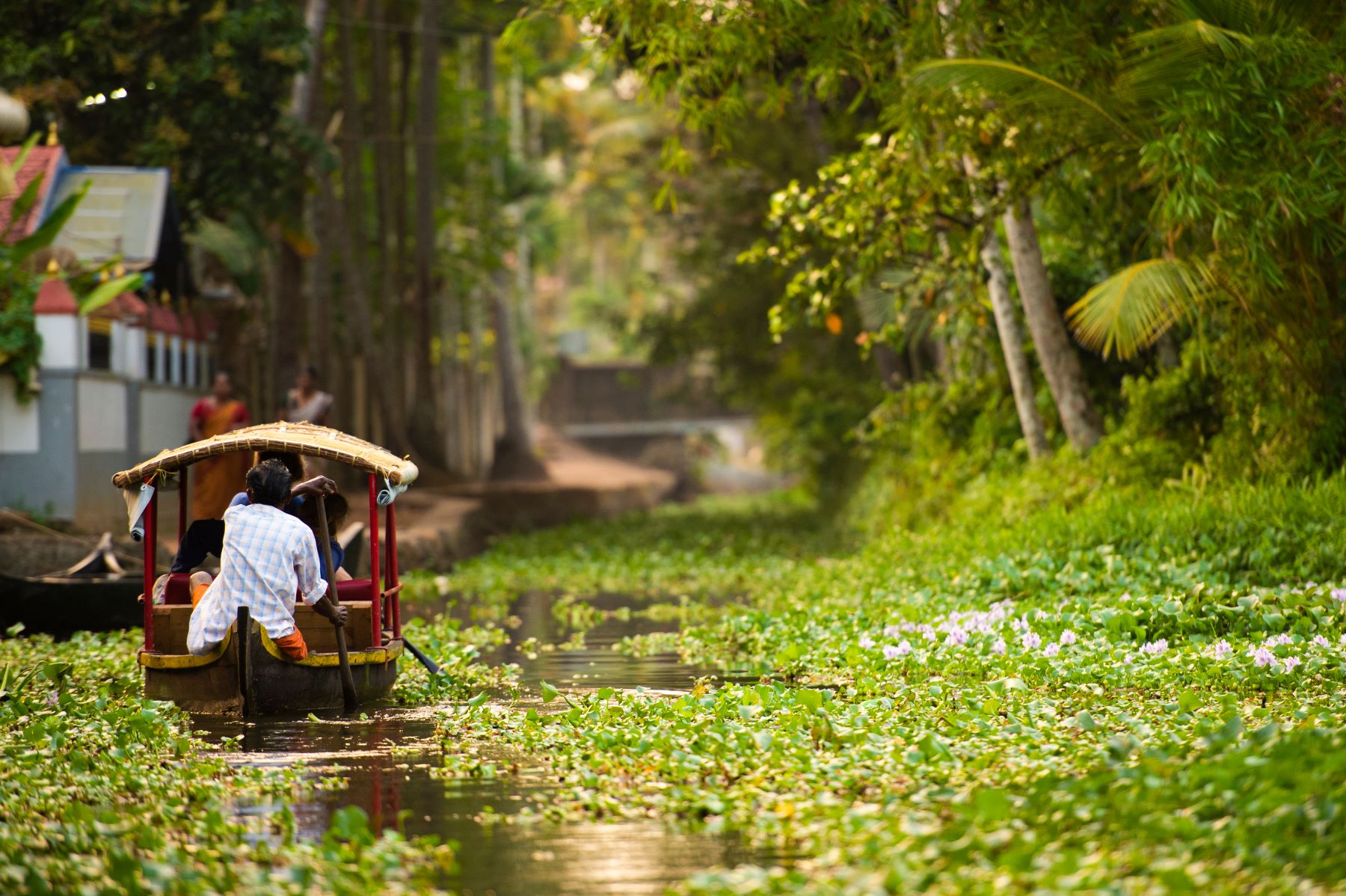 A small boat traversing Kerala's backwaters