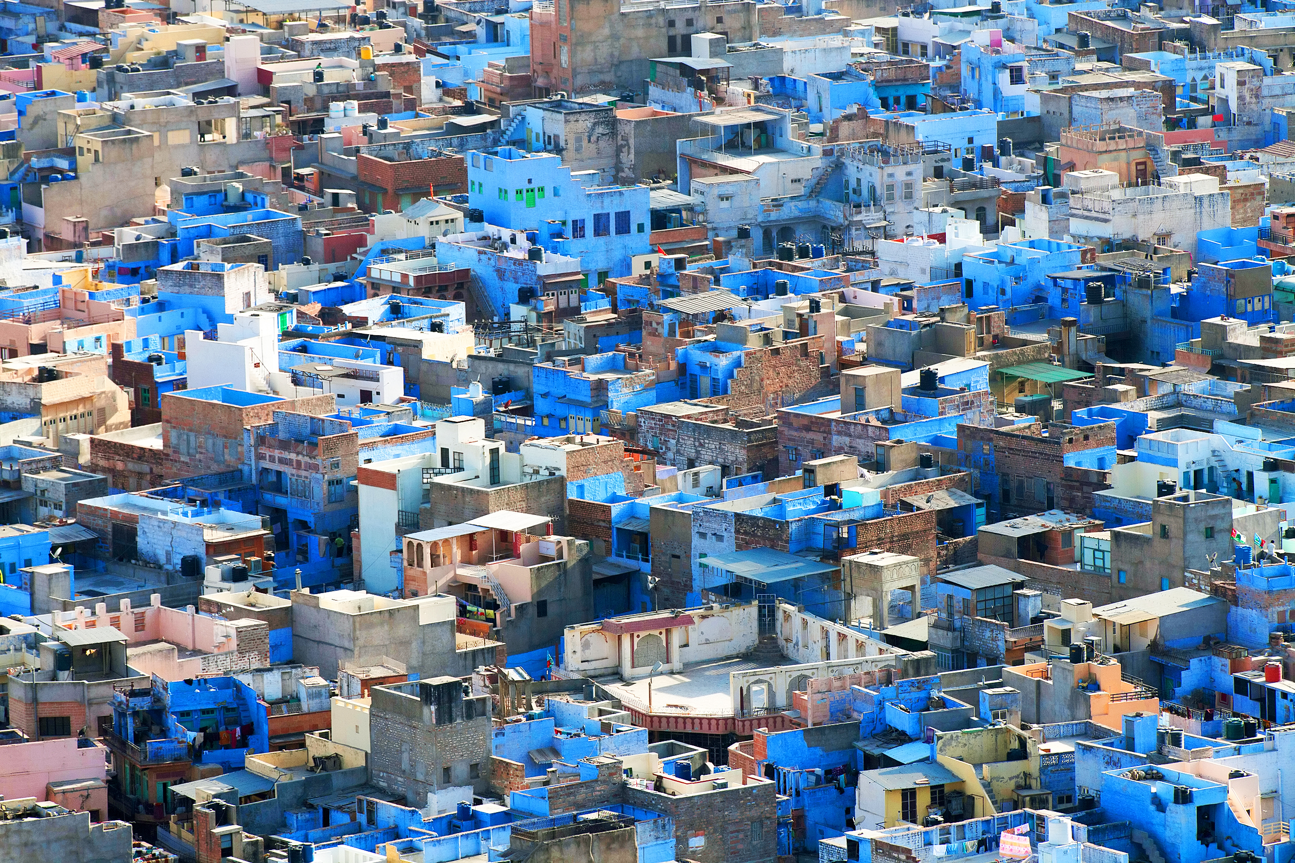 Blue buildings of Jodhpur