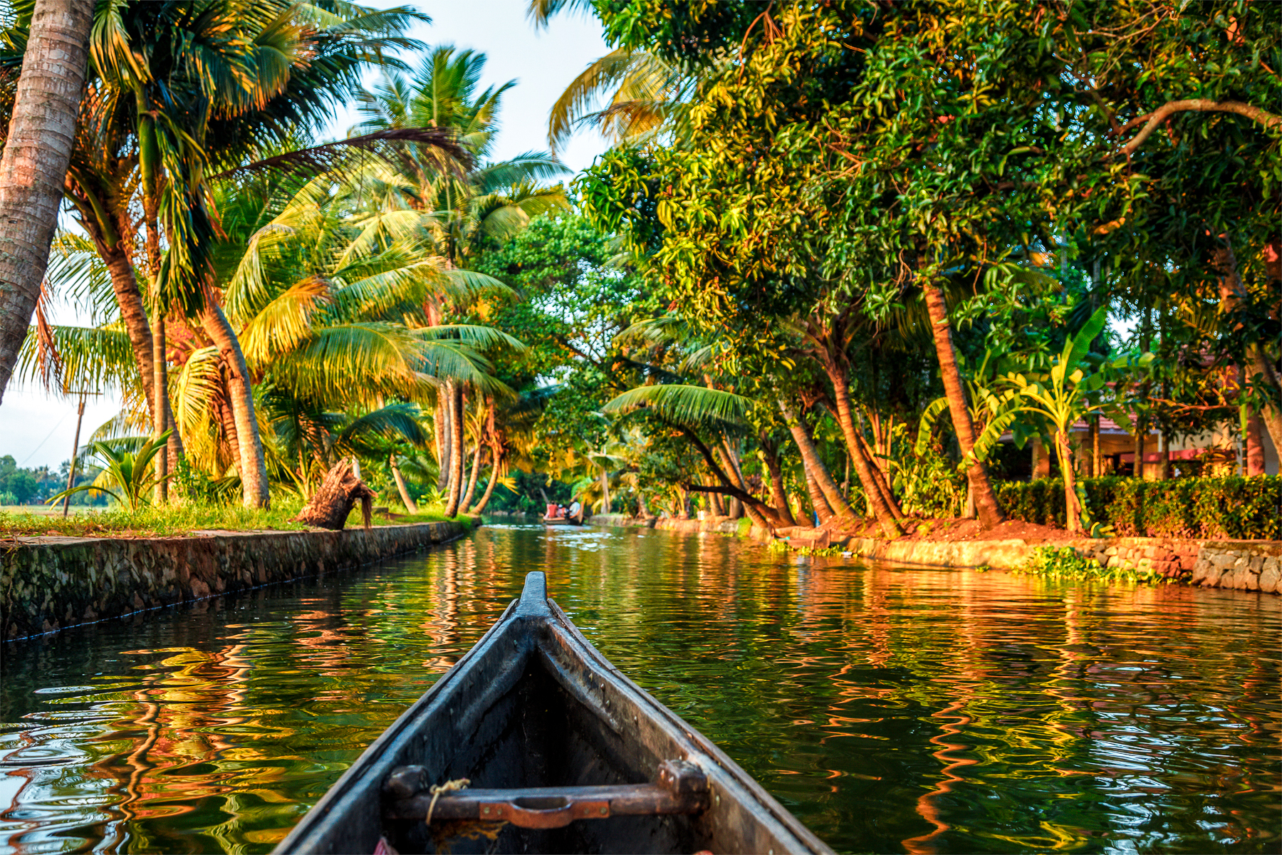 A canoe on the canals of Kerala
