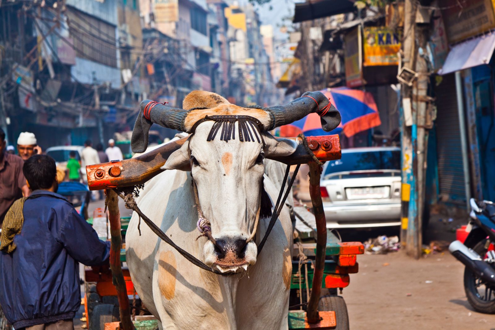 Typical street scene in Delhi, India
