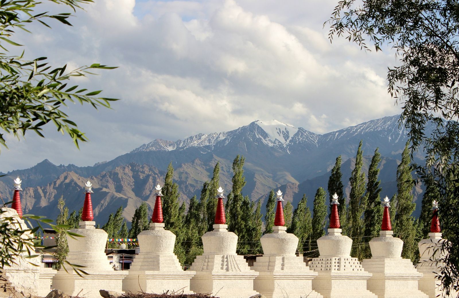 Gompa in Stakna village with mountain views and green forest, Ladakh