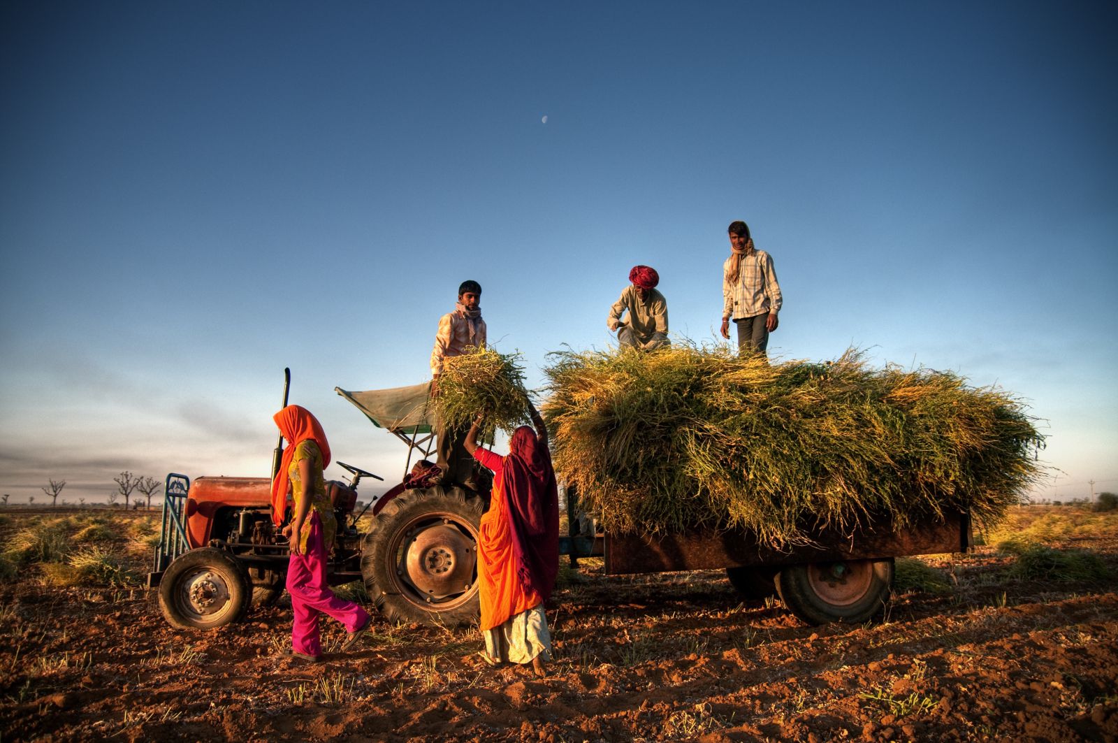 Farm workers in rural India