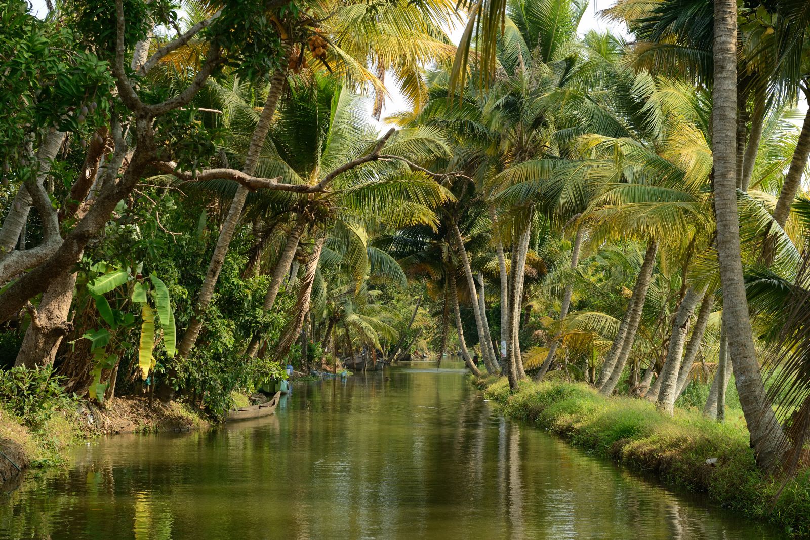 Kerala Backwaters