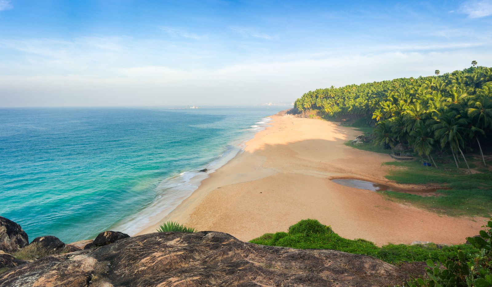 Aerial view of palm trees and golden sand beach on the coast of Kerala