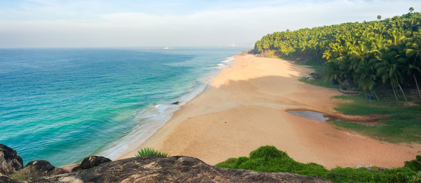 Aerial view of palm trees and golden sand beach on the coast of Kerala