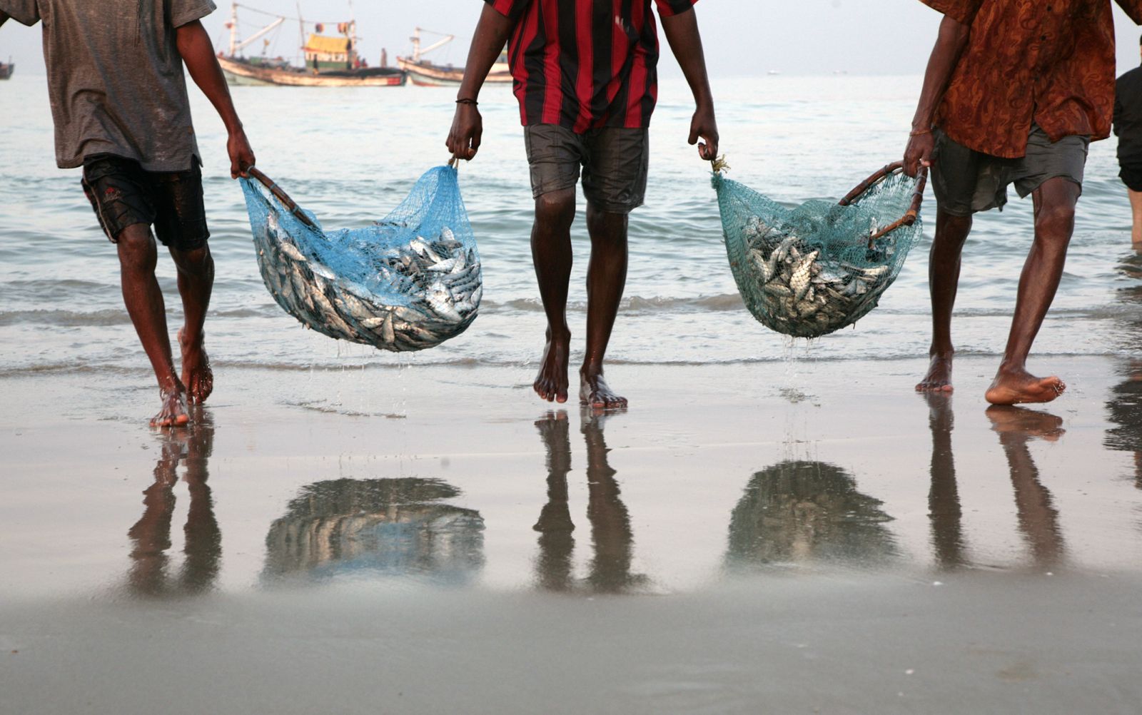 Fishermen bringing in freshly caught fish on a beach in southern India