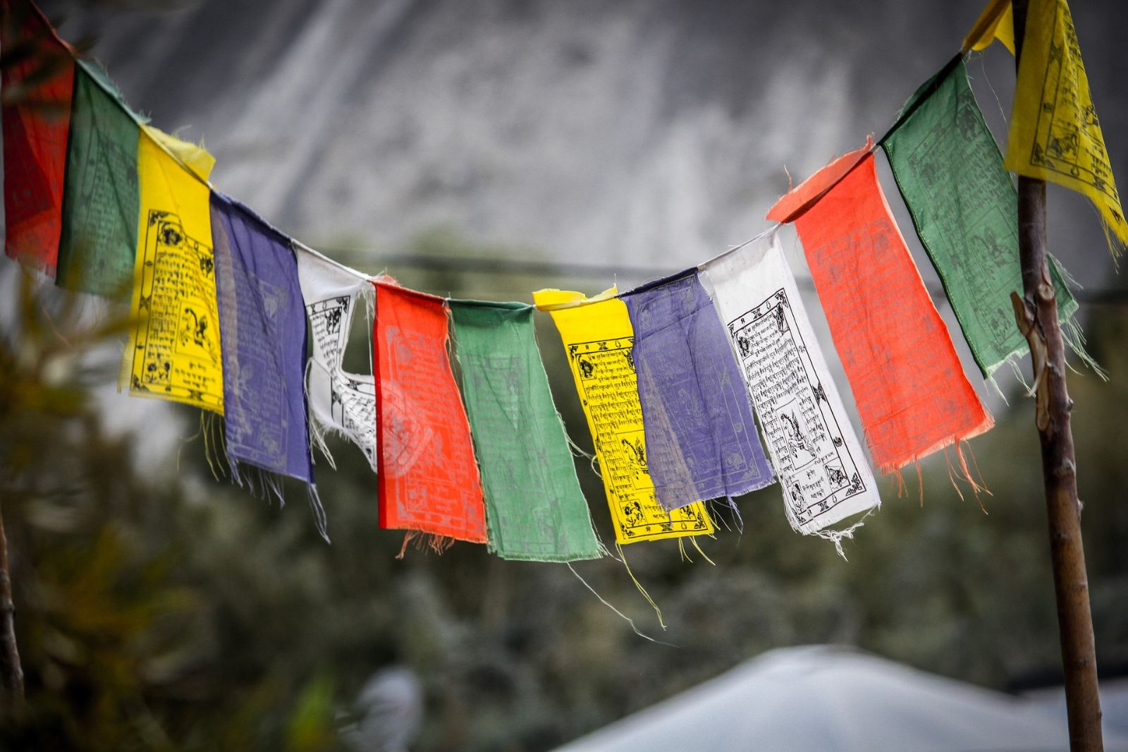 Hanging prayer flags in Ladakh, India