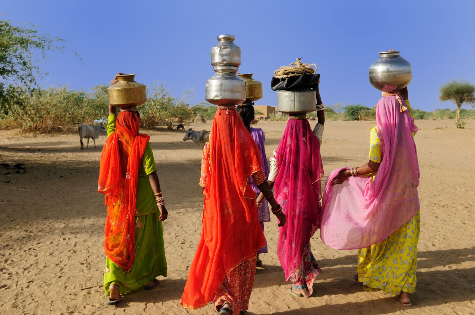 Women in colourful saris carrying pots on their heads in the Thar Desert, India