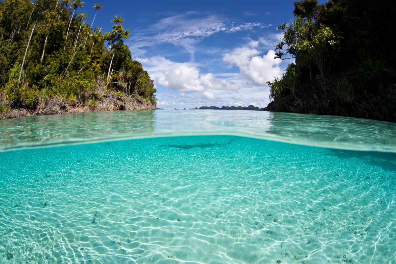 under water picture at Raja Ampat