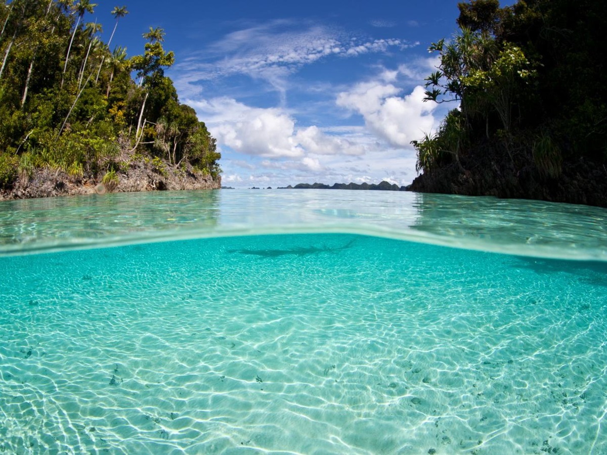under water picture at Raja Ampat