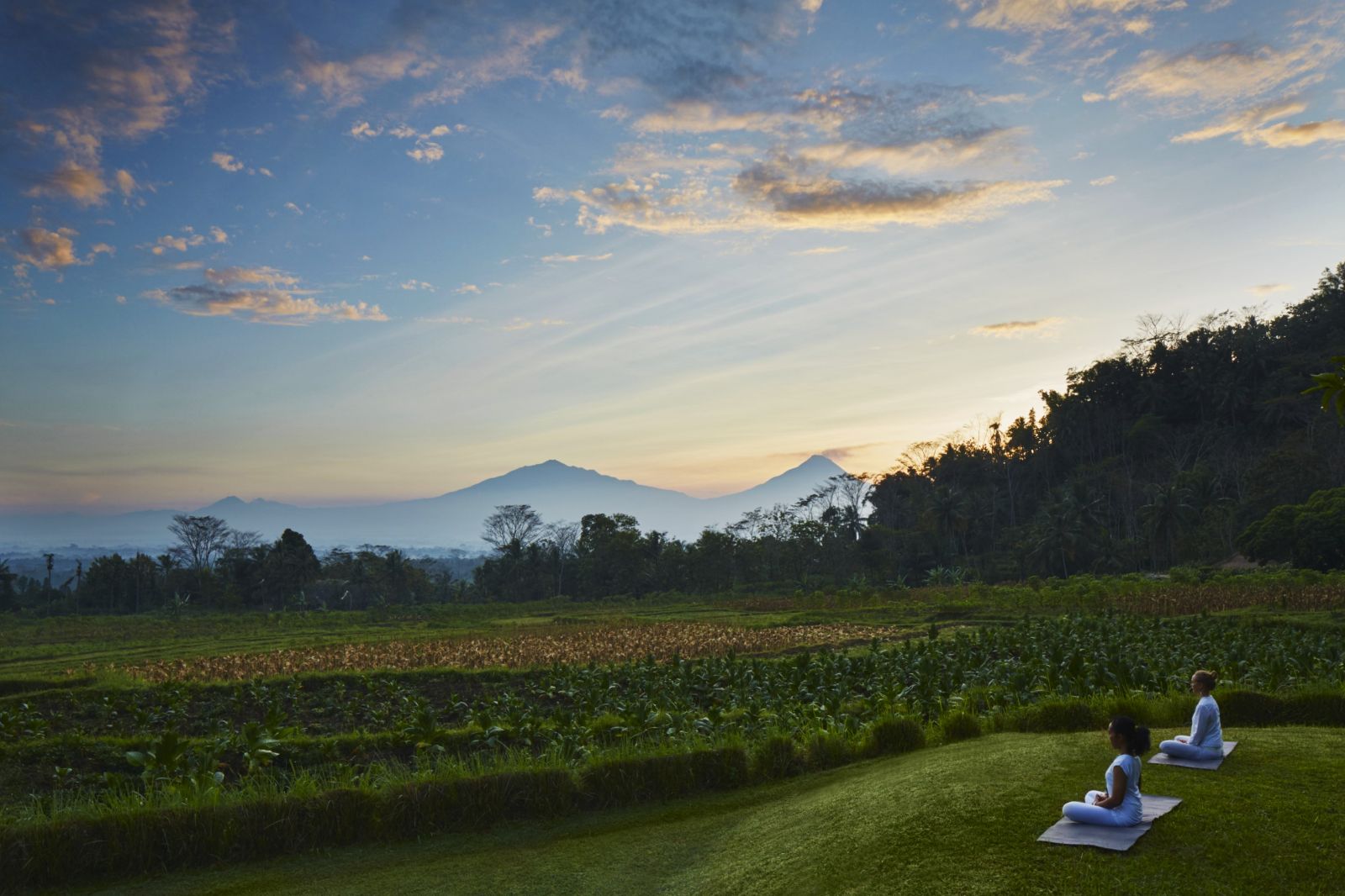 Yoga overlooking the rice paddies at Amanjiwo in the Java region of Indonesia