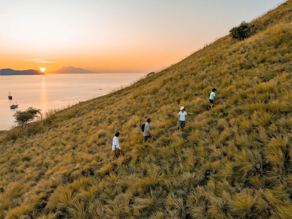 Hiking activity in Raja Ampat and Komodo from the Celestia phinisi in Indonesia
