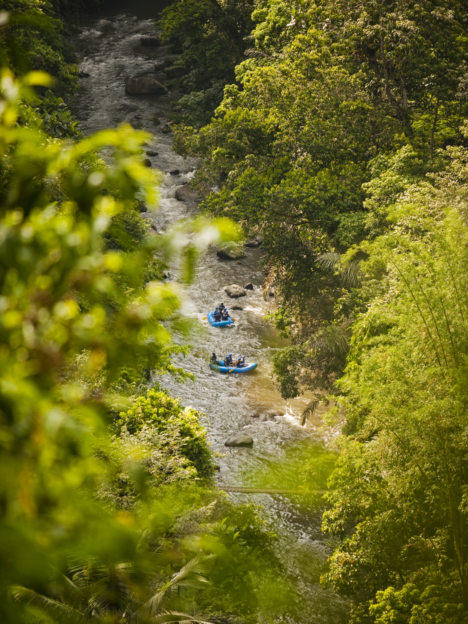Guests rafting in a river