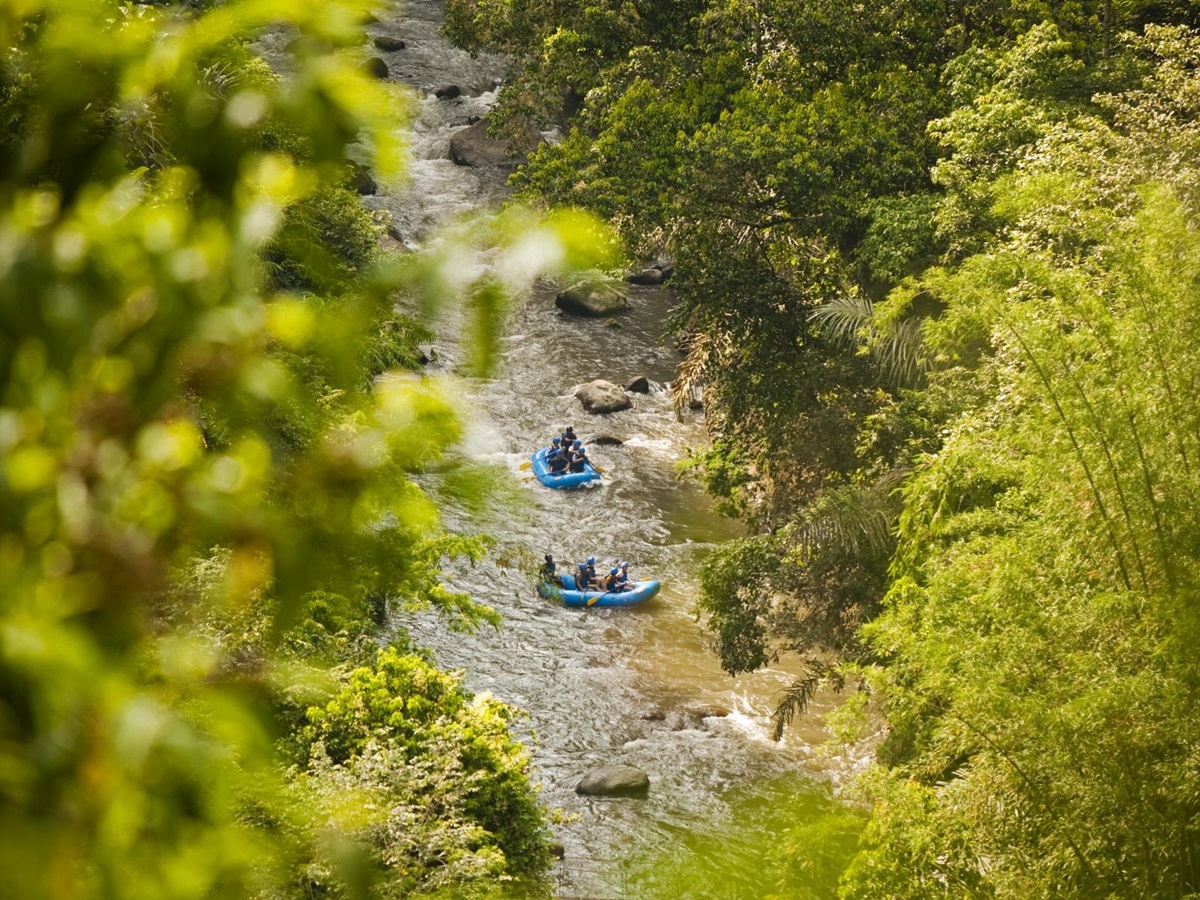 Guests rafting in a river