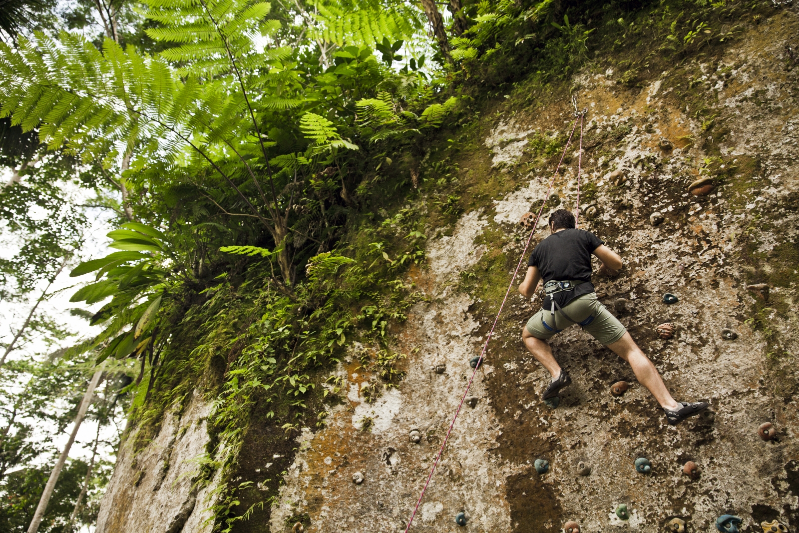 Man on the rock climbing wall
