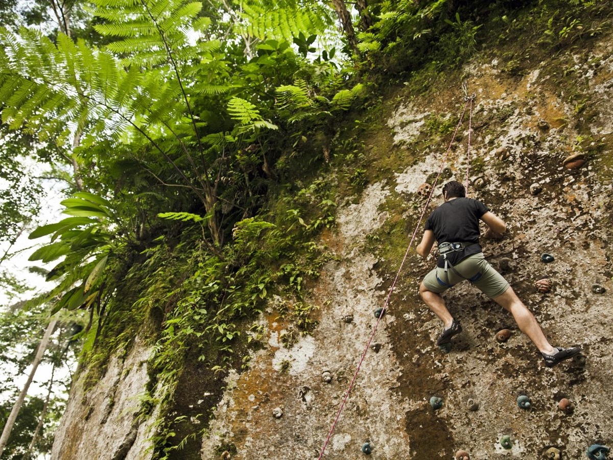 Man on the rock climbing wall